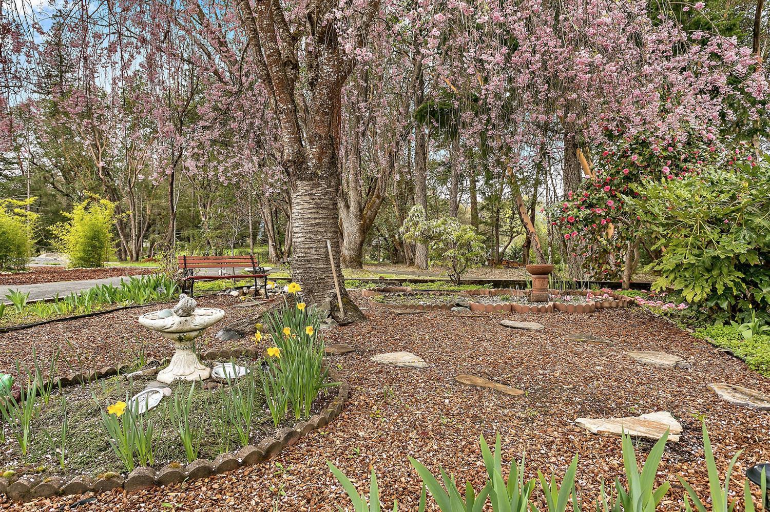 8227 Lower River Road Grants Pass, OR 97526 - Photo 8 of 22 Additional Photo