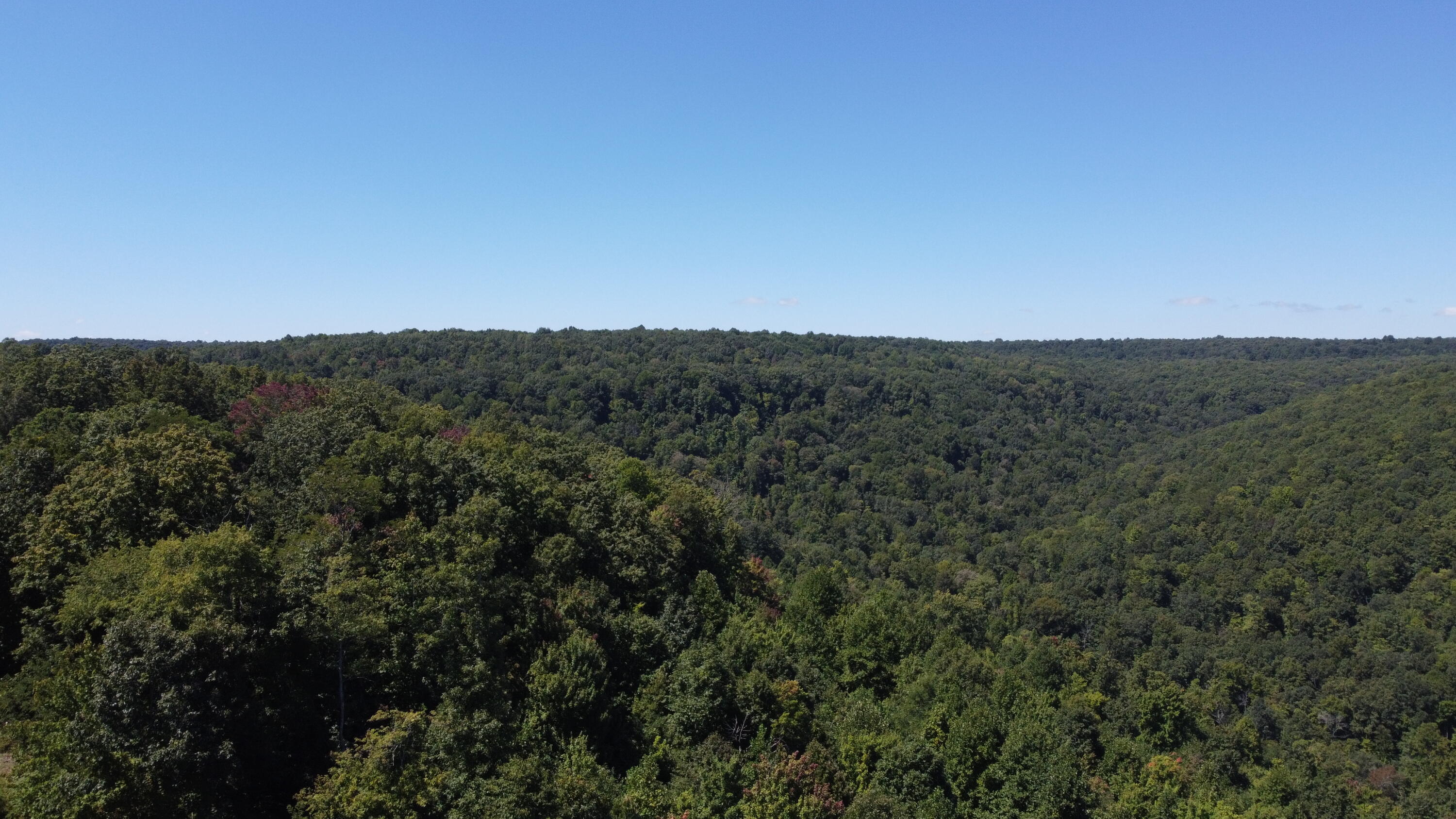 0 Daus Mountain Road Dunlap, TN 37327 - Photo 1 of 33 Photo Aug 31, 1 00 12 PM