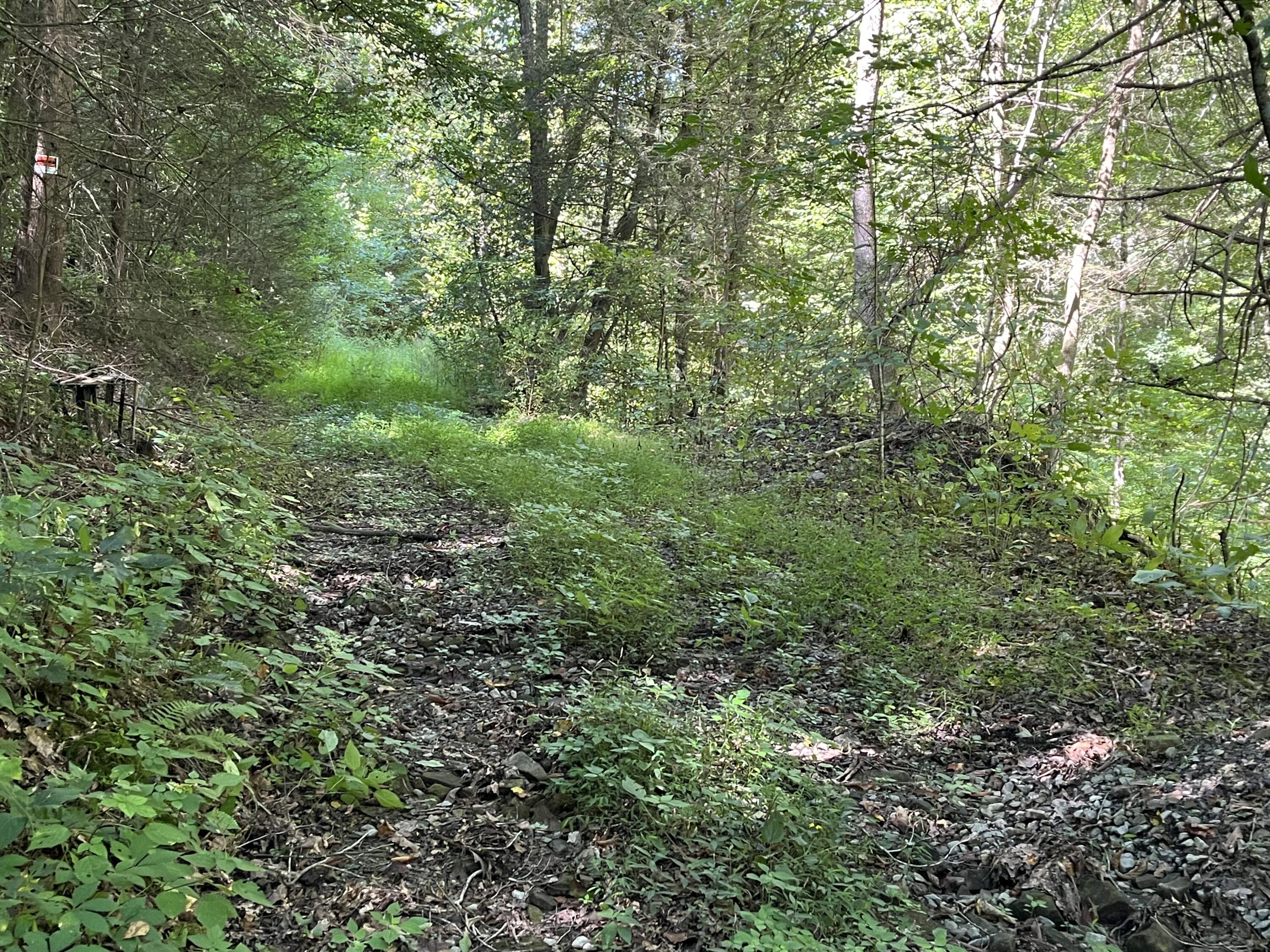 0 Daus Mountain Road Dunlap, TN 37327 - Photo 15 of 33 Photo Aug 31, 12 23 45 PM