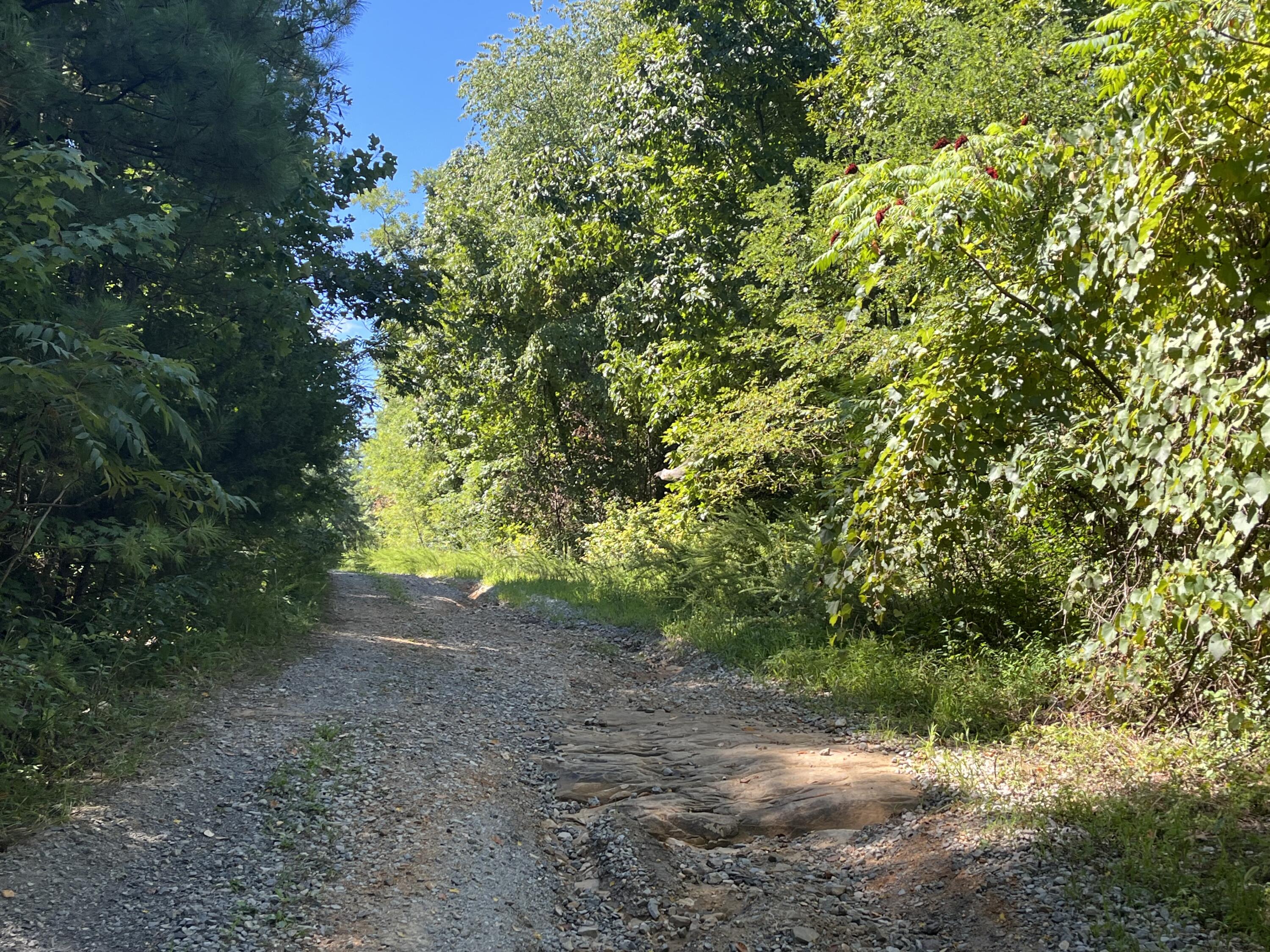 0 Daus Mountain Road Dunlap, TN 37327 - Photo 16 of 33 Photo Aug 31, 12 15 55 PM