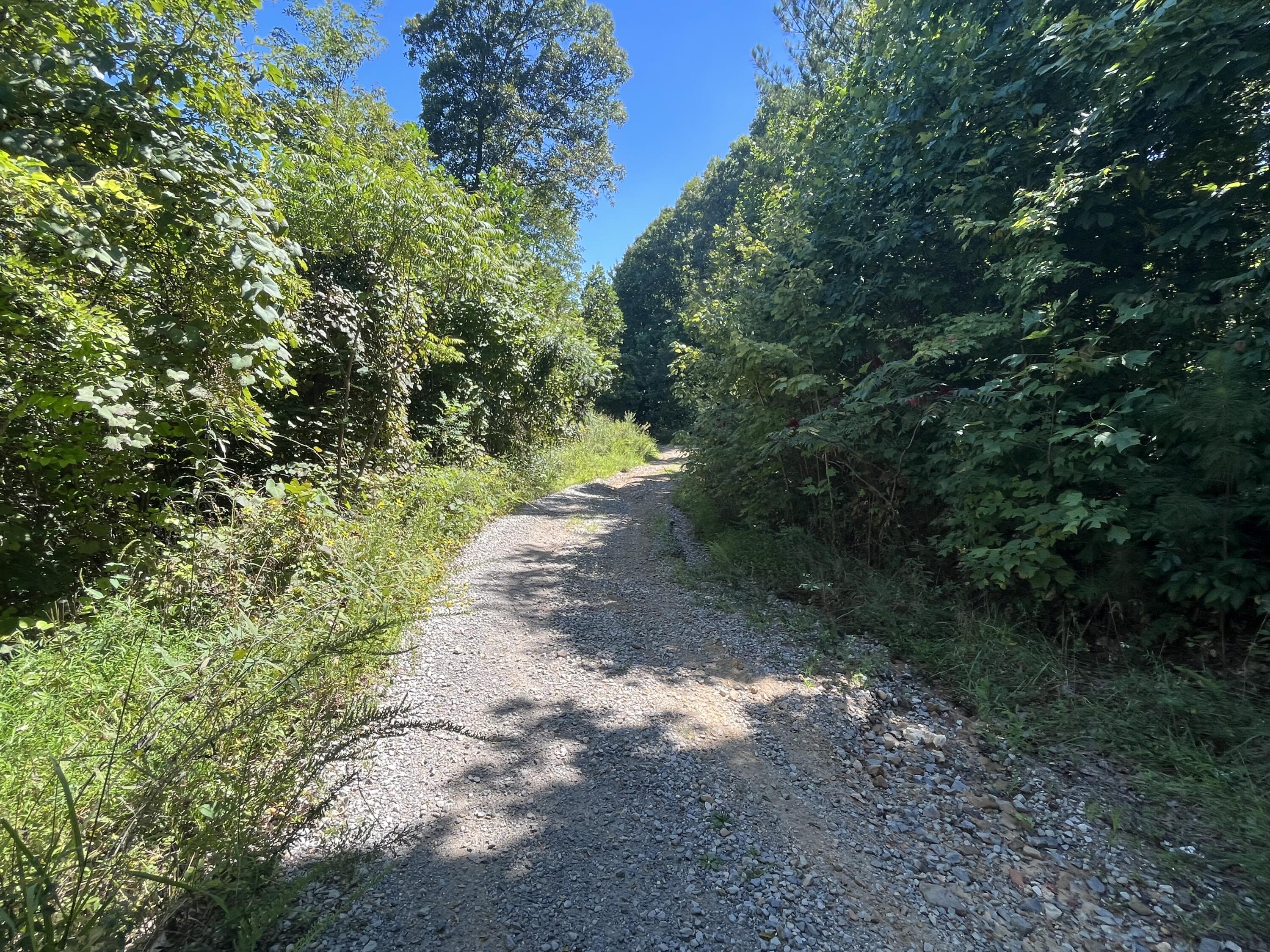 0 Daus Mountain Road Dunlap, TN 37327 - Photo 17 of 33 Photo Aug 31, 12 16 12 PM