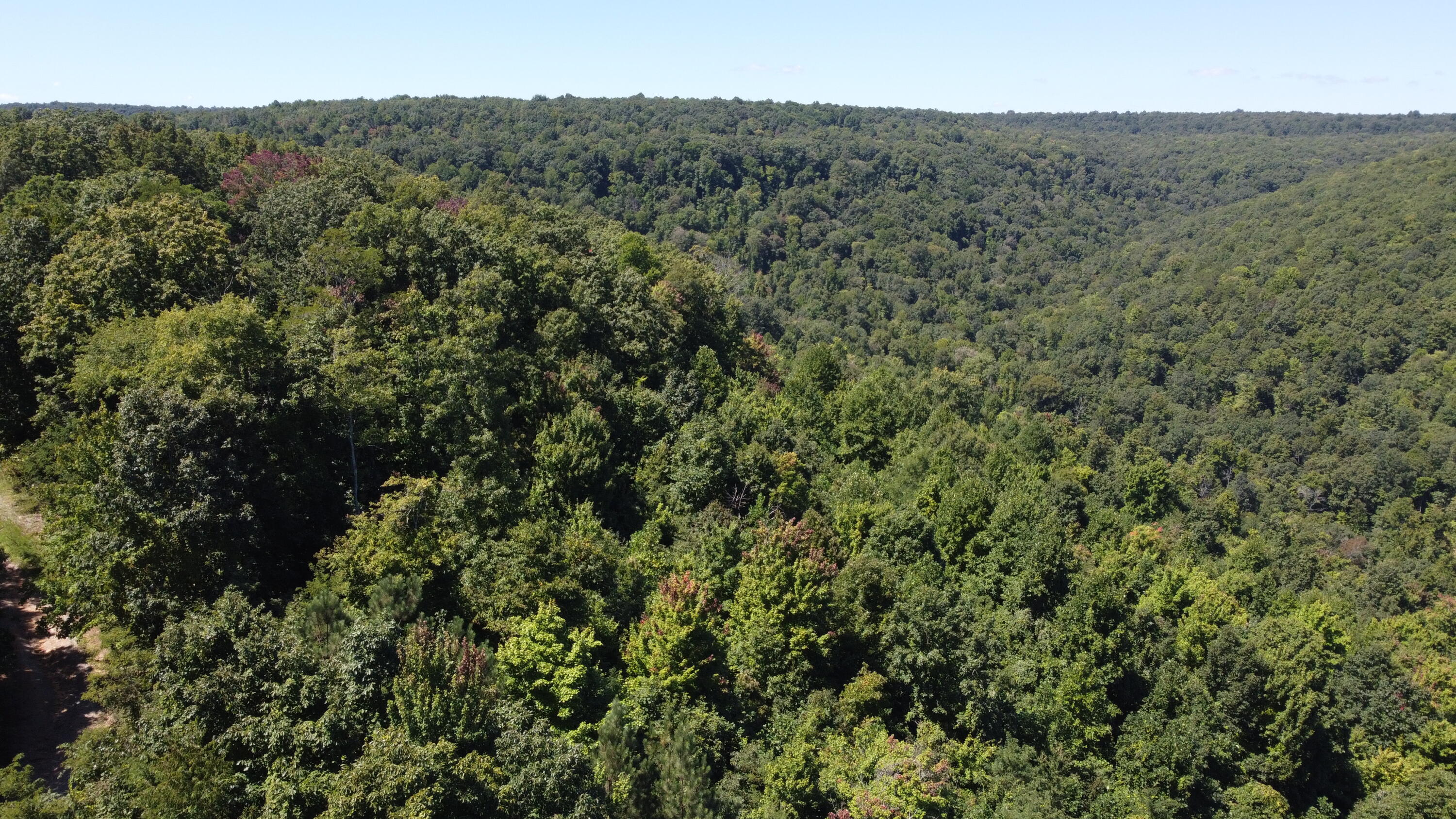 0 Daus Mountain Road Dunlap, TN 37327 - Photo 19 of 33 Photo Aug 31, 1 00 17 PM
