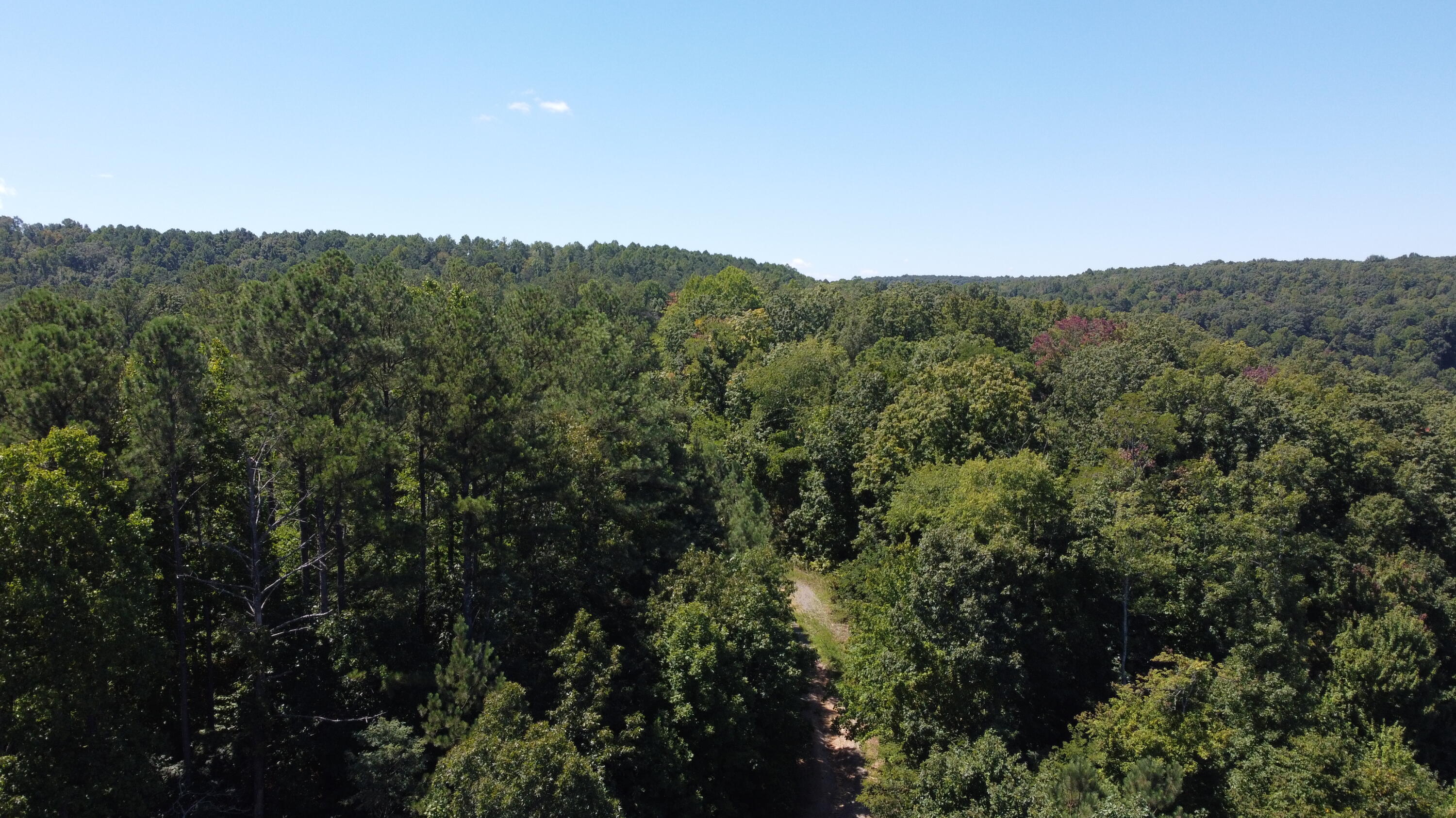 0 Daus Mountain Road Dunlap, TN 37327 - Photo 21 of 33 Photo Aug 31, 1 00 31 PM