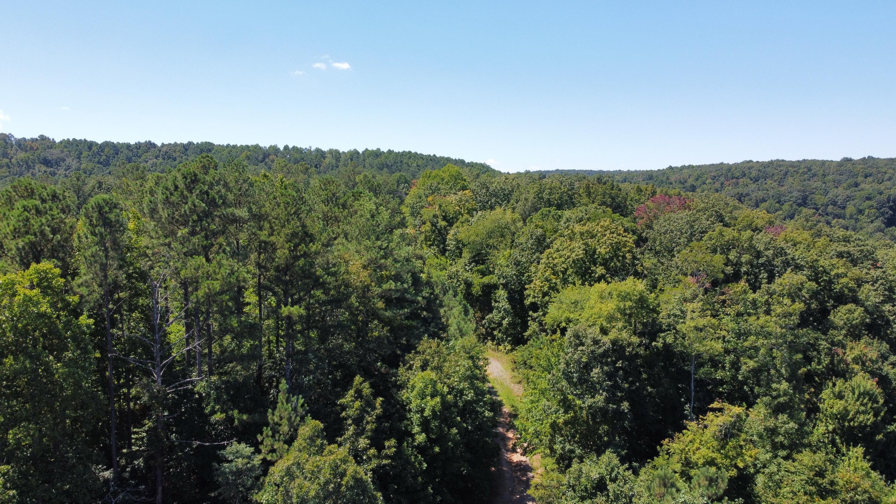 0 Daus Mountain Road Dunlap, TN 37327 - Photo 22 of 33 Photo Aug 31, 1 00 36 PM