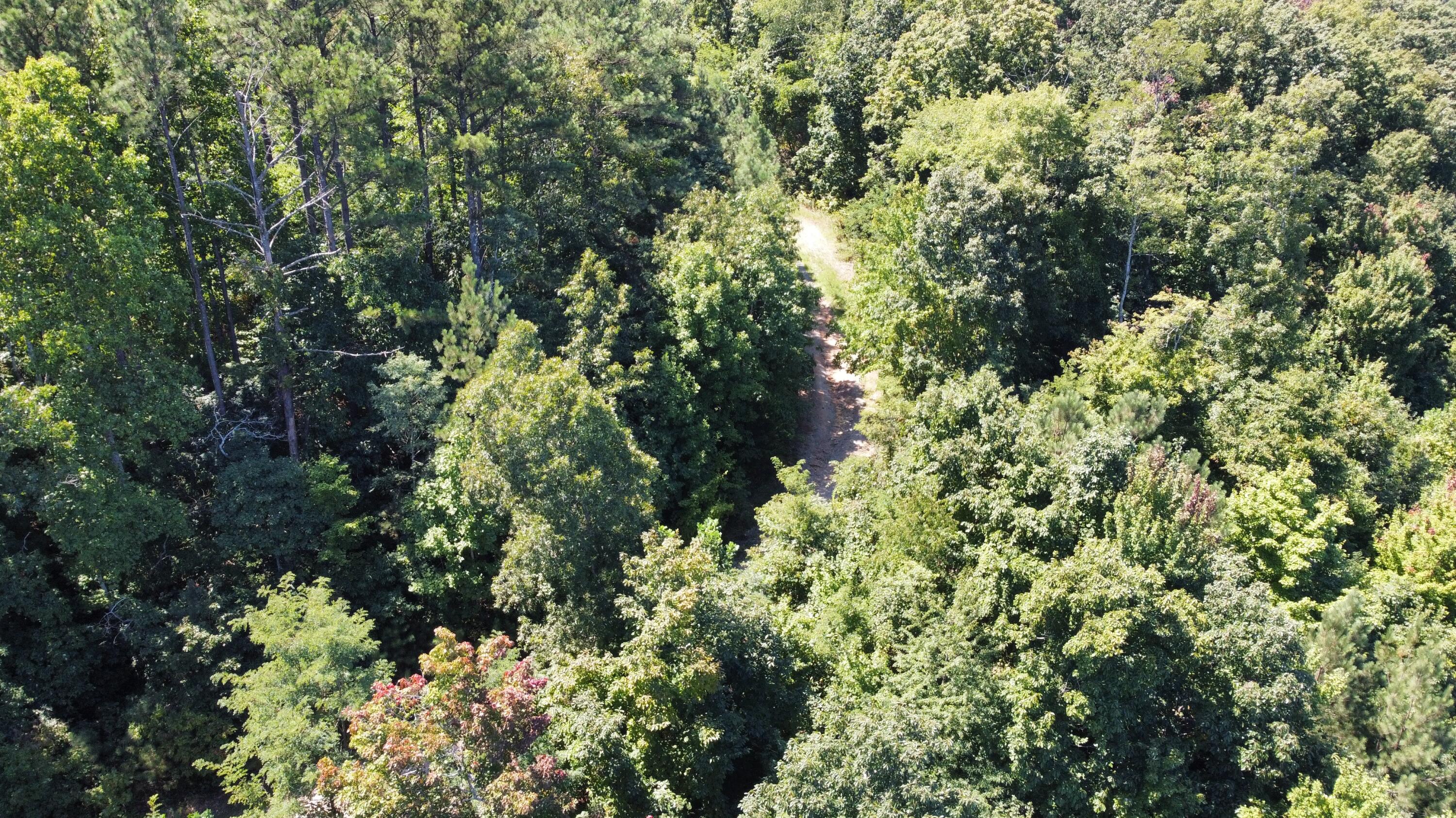 0 Daus Mountain Road Dunlap, TN 37327 - Photo 23 of 33 Photo Aug 31, 1 00 40 PM