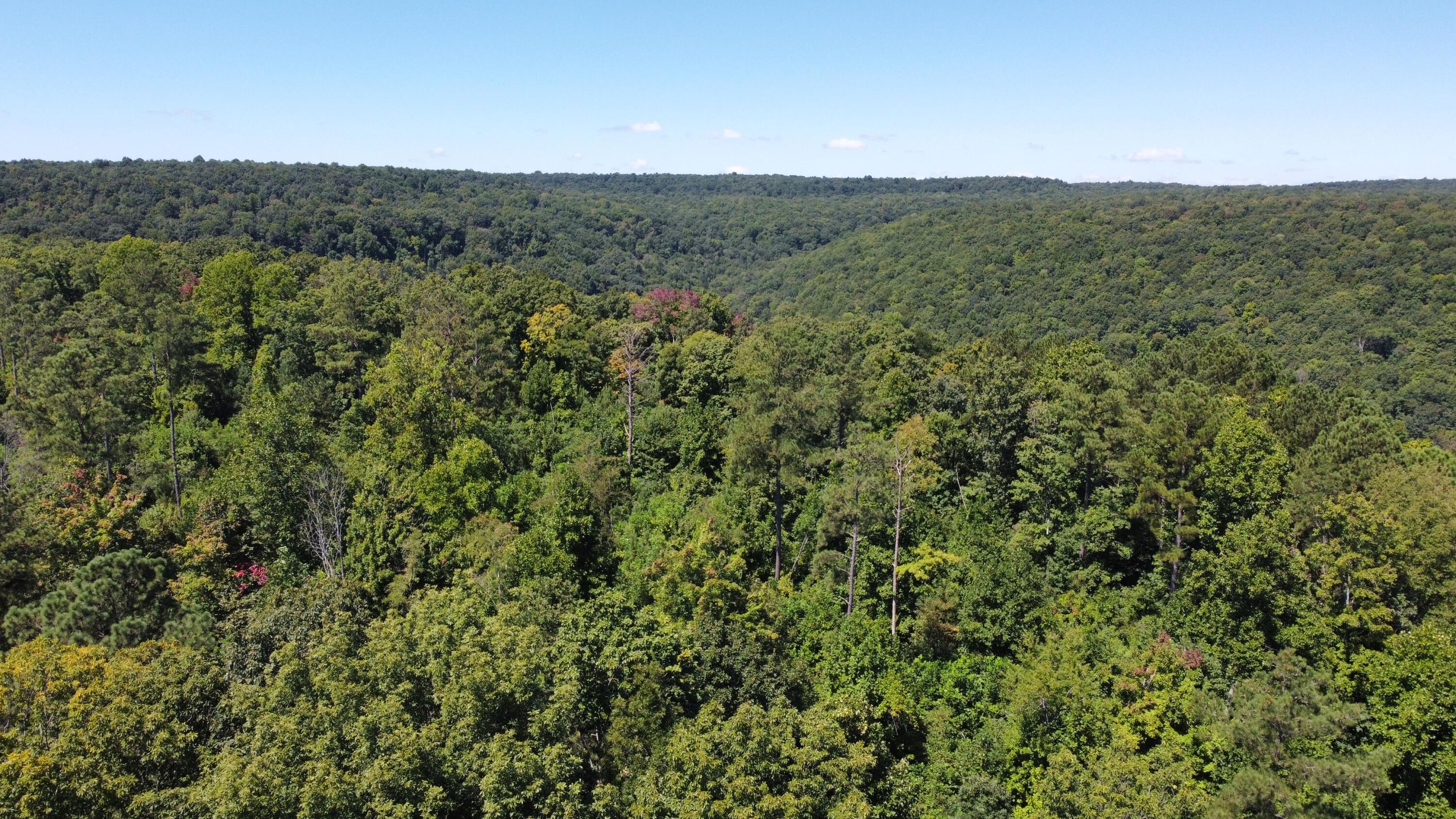 0 Daus Mountain Road Dunlap, TN 37327 - Photo 27 of 33 Photo Aug 31, 1 02 30 PM