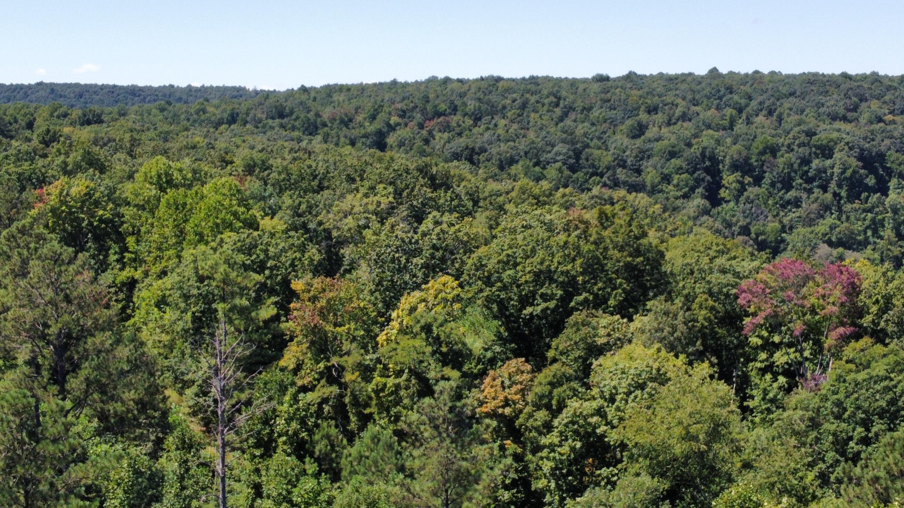 0 Daus Mountain Road Dunlap, TN 37327 - Photo 29 of 33 Photo Aug 31, 1 03 49 PM