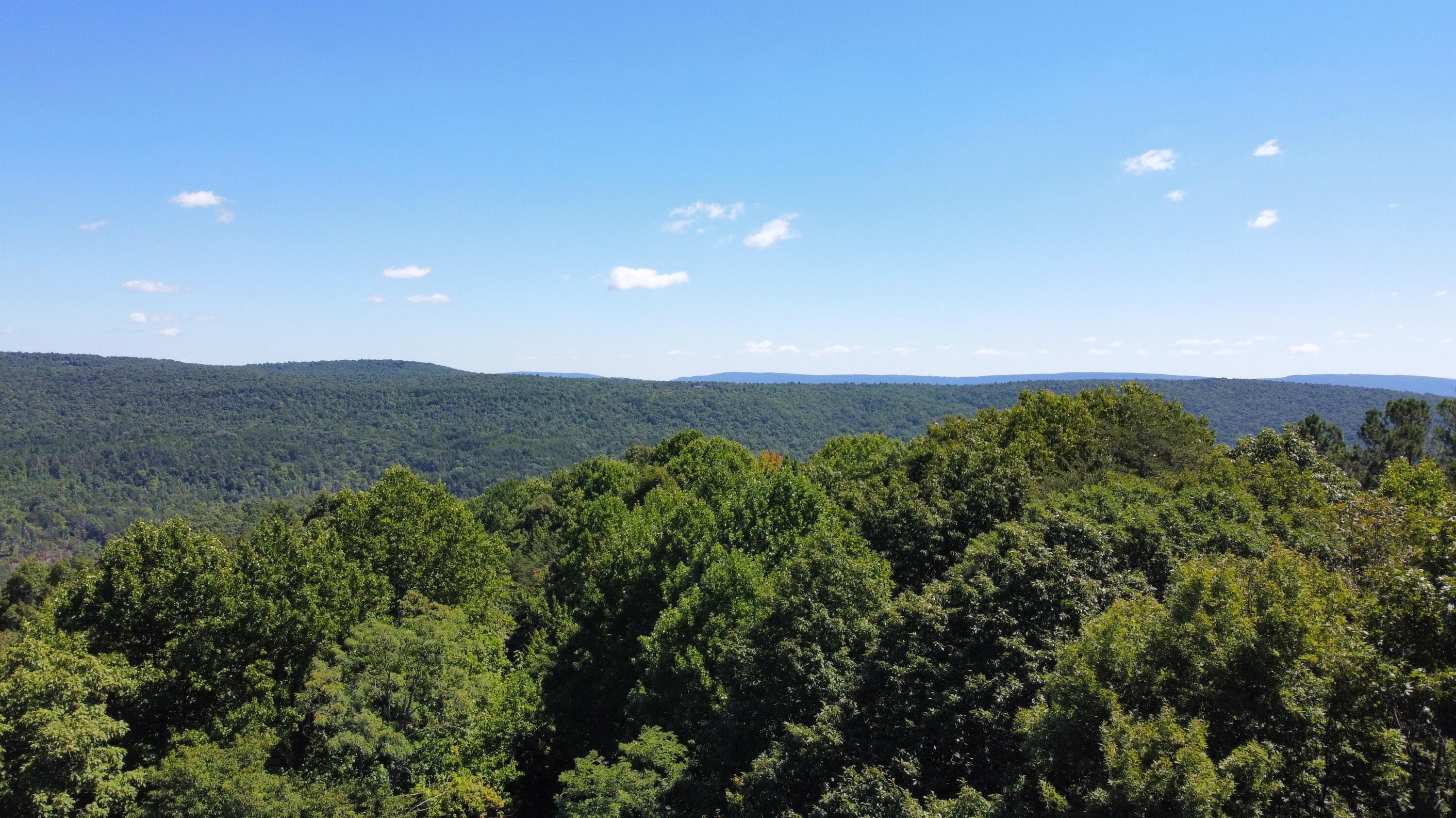 0 Daus Mountain Road Dunlap, TN 37327 - Photo 30 of 33 Photo Aug 31, 12 59 21 PM