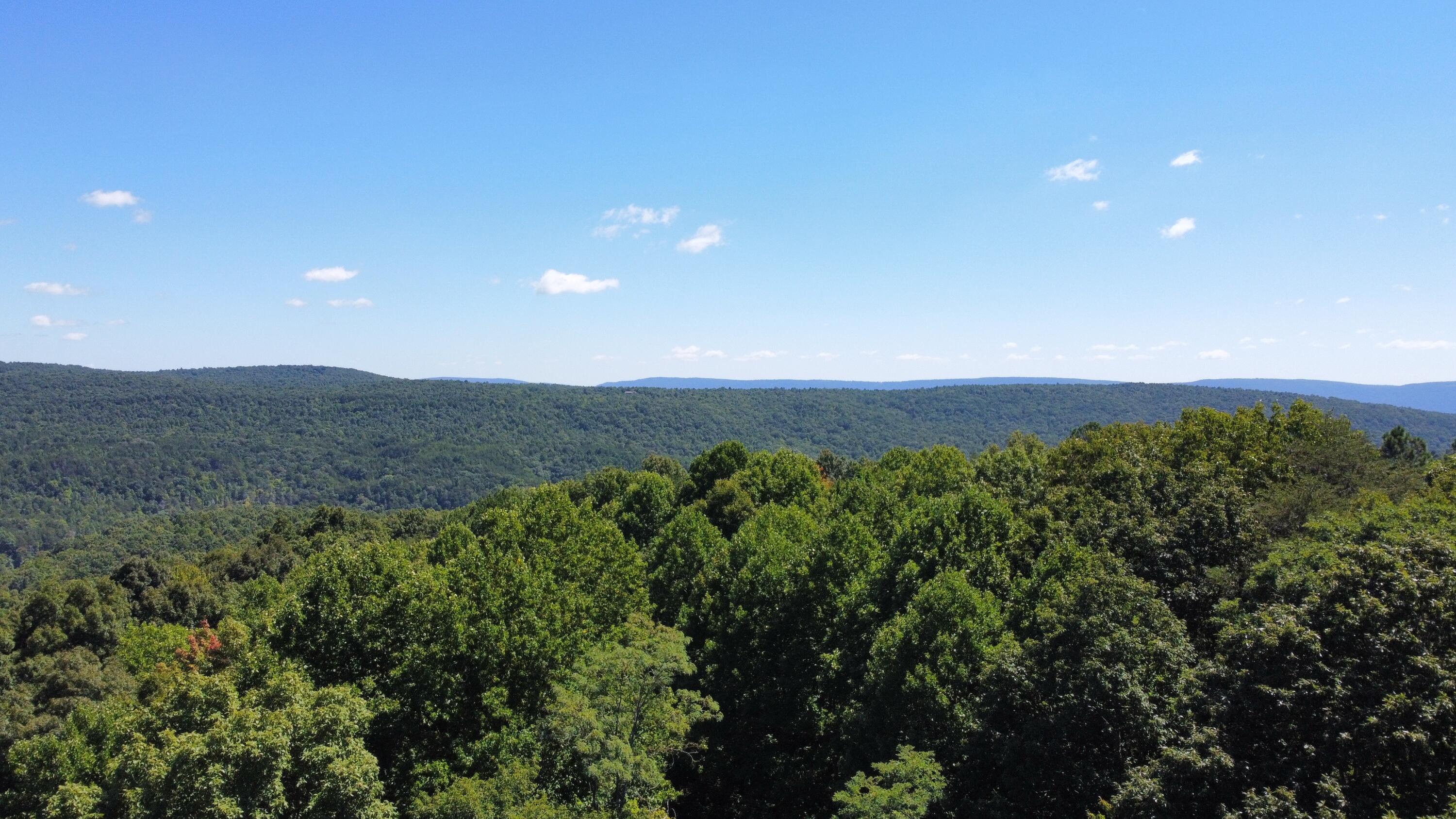 0 Daus Mountain Road Dunlap, TN 37327 - Photo 31 of 33 Photo Aug 31, 12 59 33 PM