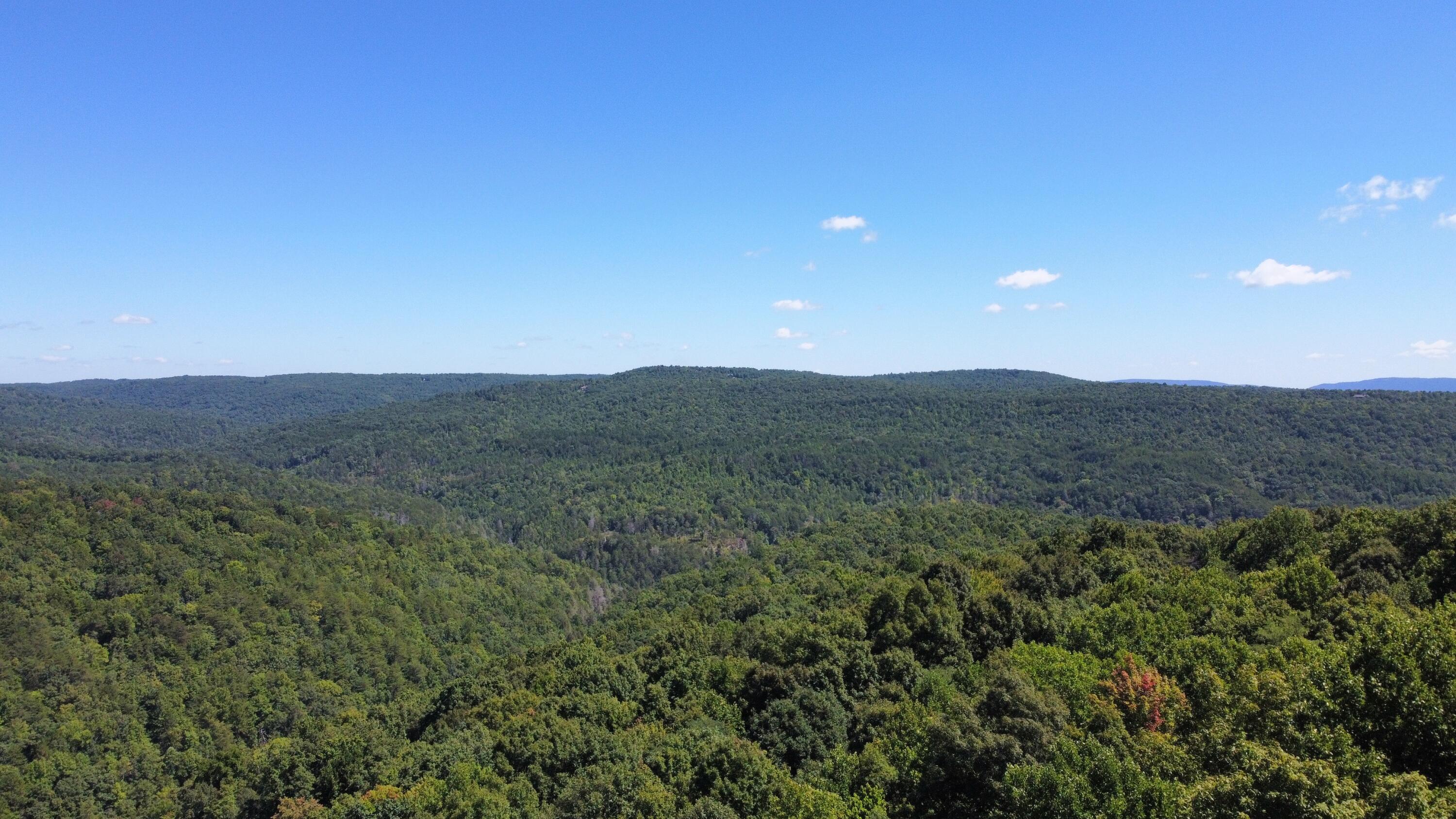 0 Daus Mountain Road Dunlap, TN 37327 - Photo 32 of 33 Photo Aug 31, 12 59 51 PM (1)