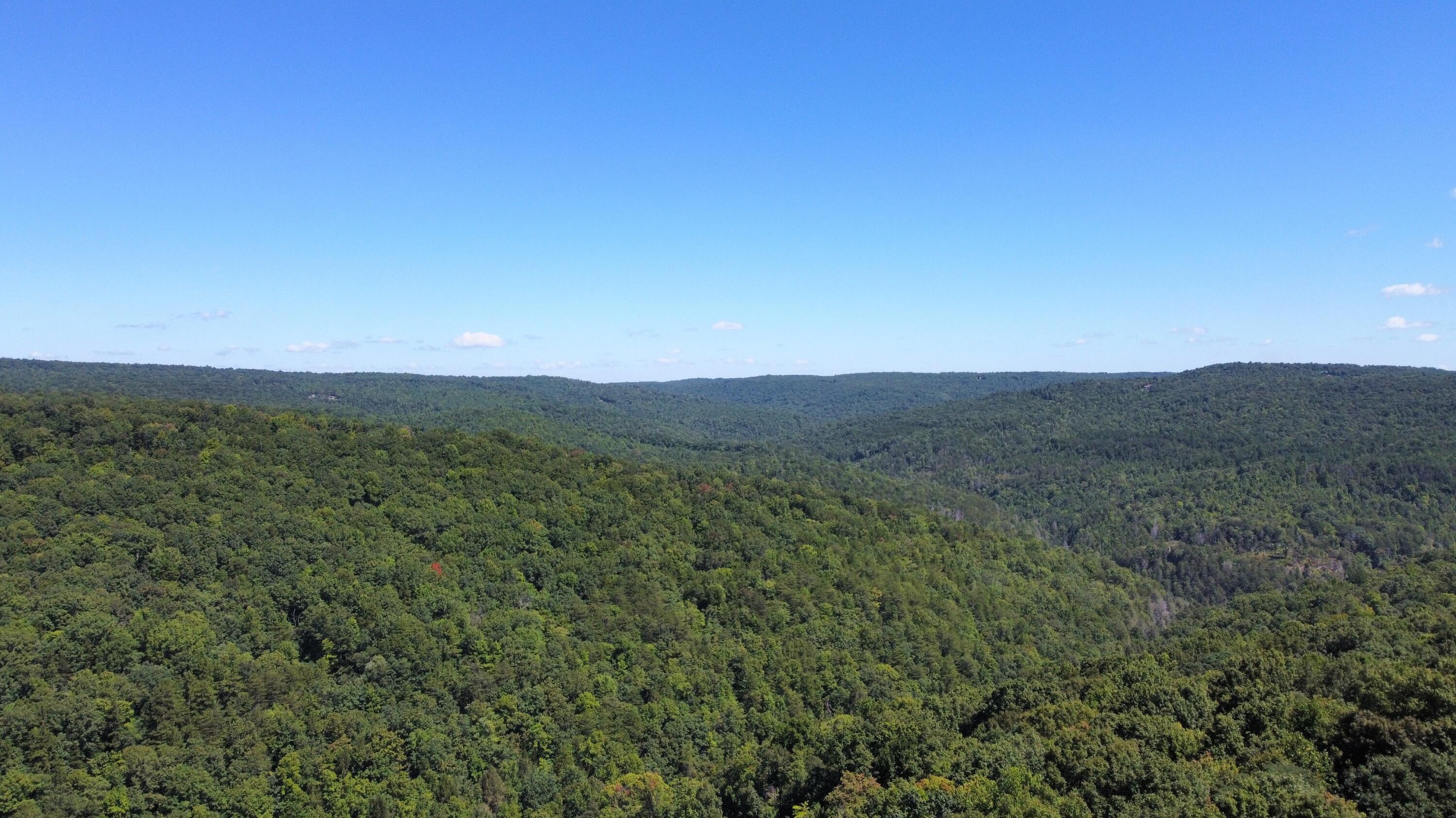 0 Daus Mountain Road Dunlap, TN 37327 - Photo 33 of 33 Photo Aug 31, 12 59 55 PM (1)