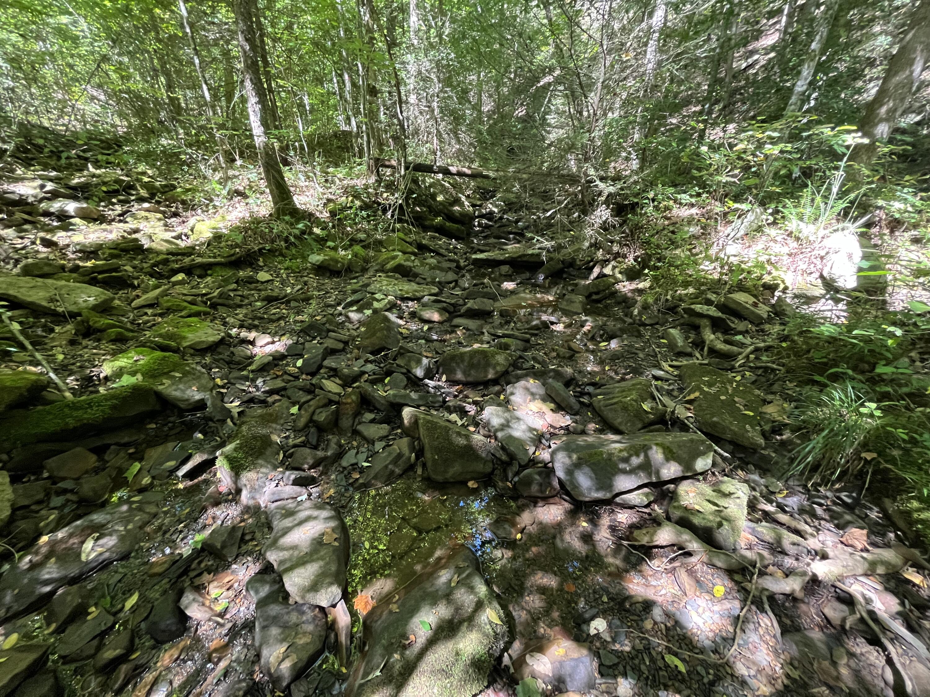 0 Daus Mountain Road Dunlap, TN 37327 - Photo 5 of 33 Photo Aug 31, 12 28 55 PM