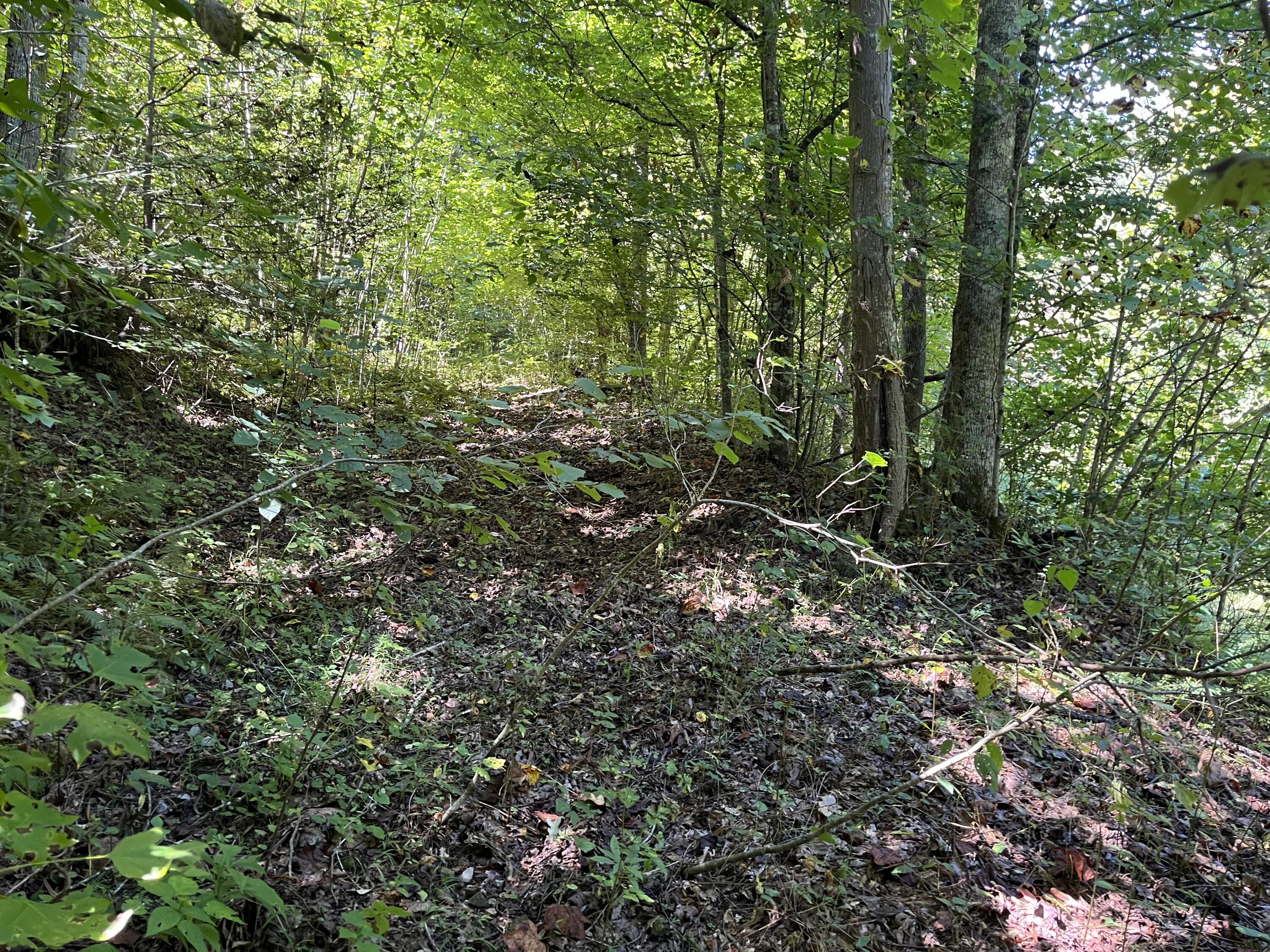 0 Daus Mountain Road Dunlap, TN 37327 - Photo 8 of 33 Photo Aug 31, 12 31 56 PM