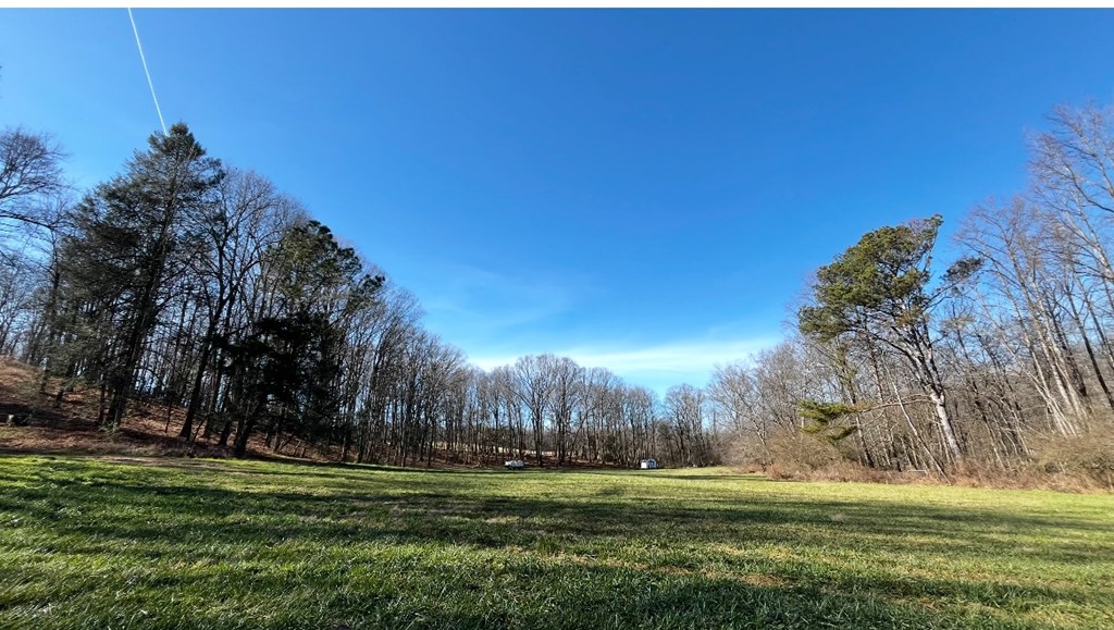 2086 Burnt Mountain Road Ellijay, GA 30536 - Photo 32 of 47 a big yard with trees in the background