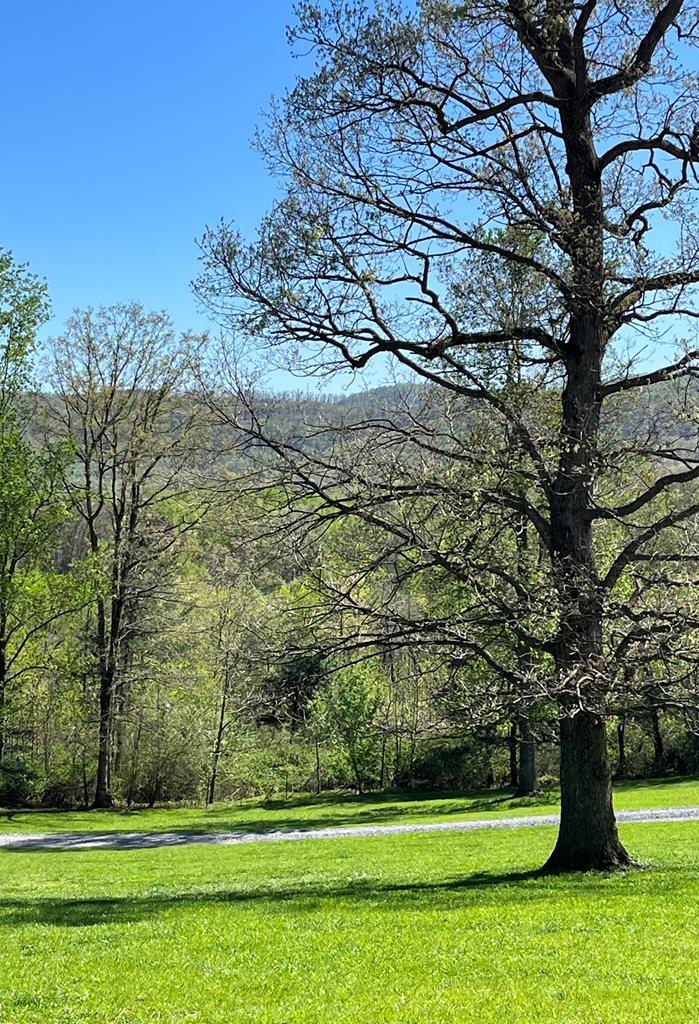 2086 Burnt Mountain Road Ellijay, GA 30536 - Photo 45 of 47 a view of a yard