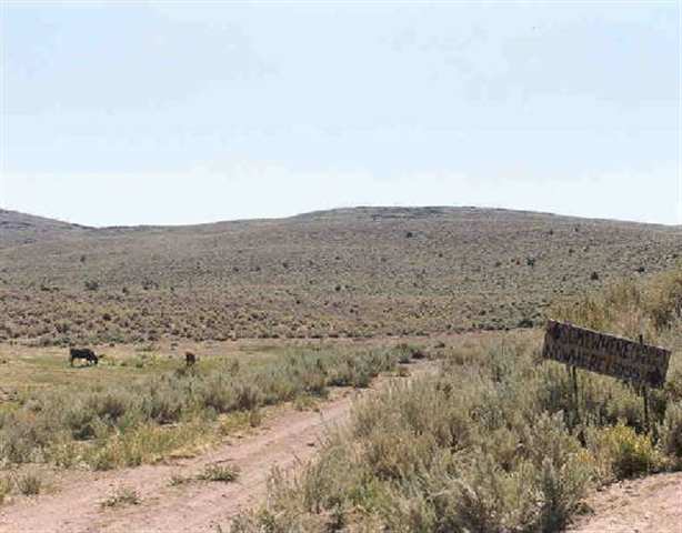 Lot #7 Pond Peak Road Reno, NV 89510 - Photo 1 of 1