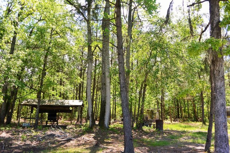 0 Patty Road Lake City, SC 29560 - Photo 3 of 6 3
