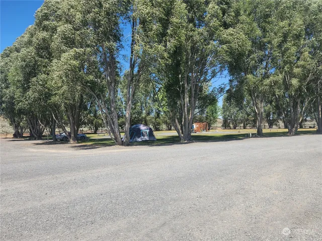 a view of yard from window
