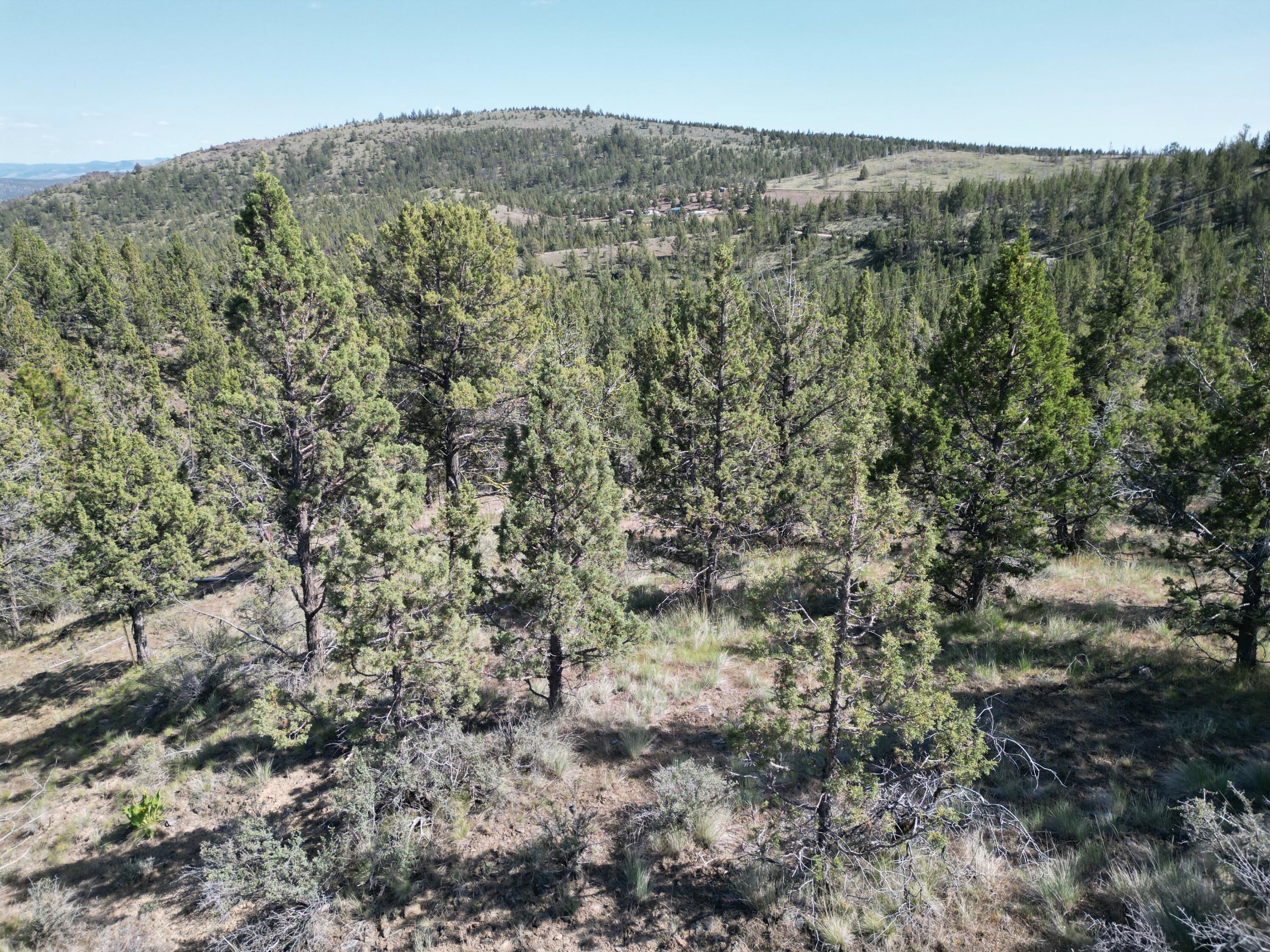 Southeast Simpson Road, Unit TL4487 & TL4488 Prineville, OR 97754 - Photo 6 of 12 Views