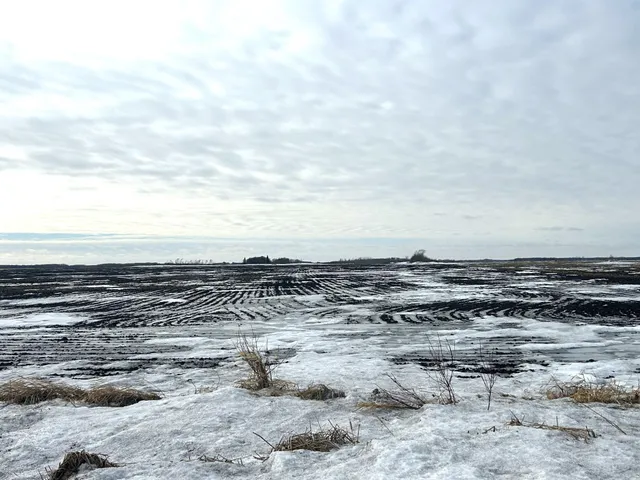 $97,000 | Tbd 210th Avenue, Greenbush, MN 56726