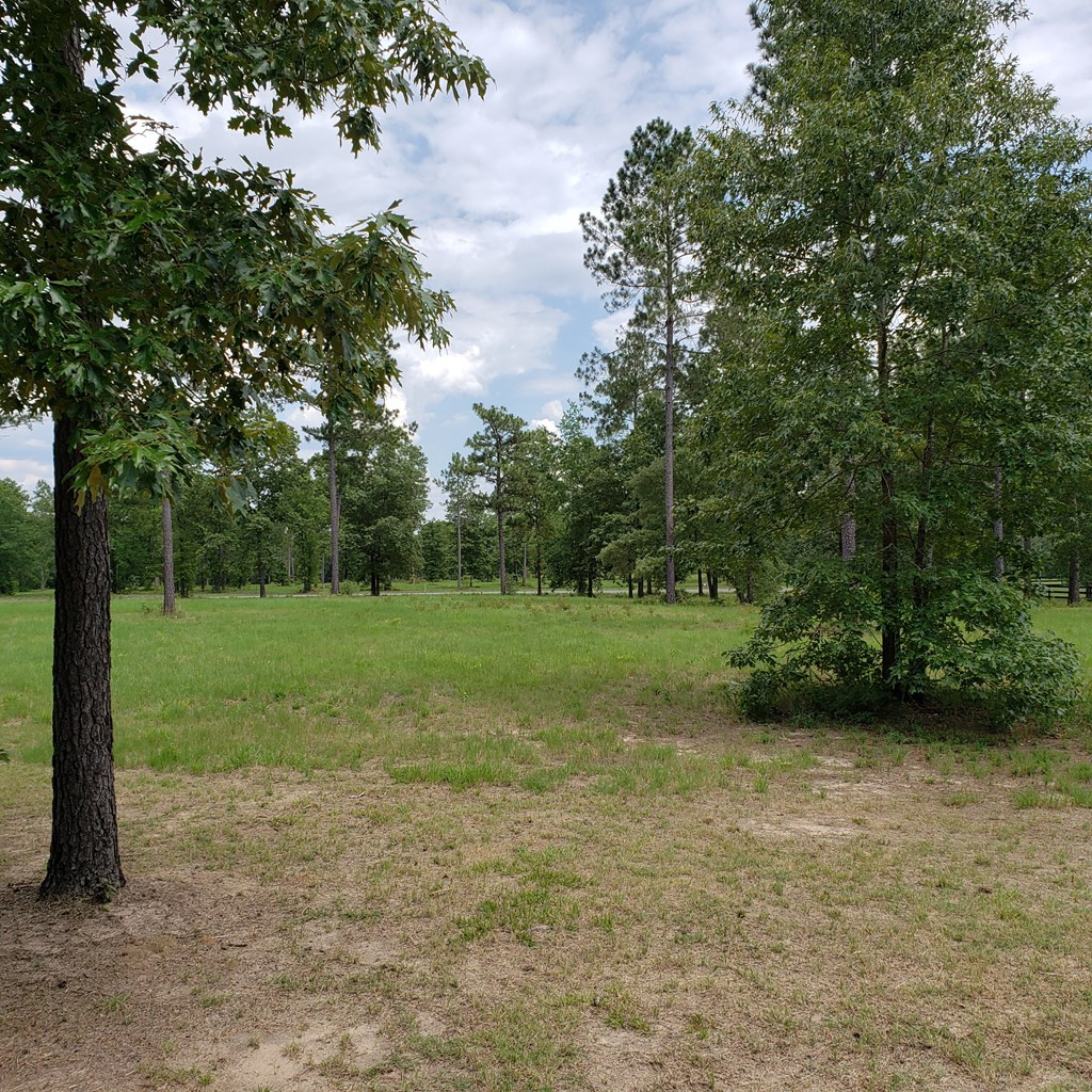7032 Rembert Place Aiken, SC 29803 - Photo 22 of 23