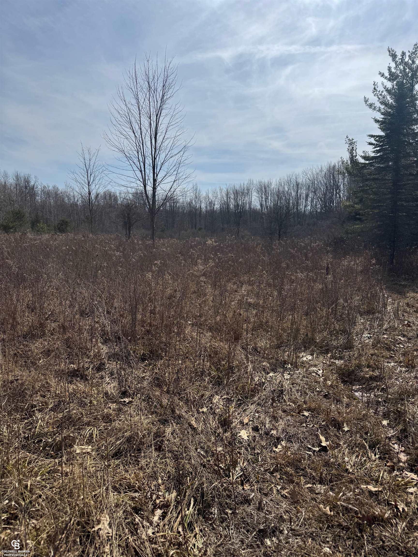 11105 Bryce Road Emmett, MI 48022 - Photo 31 of 44 50169414-4d3c9e92-0c3b-4368-9ad1-9115b1d60f17.JPG