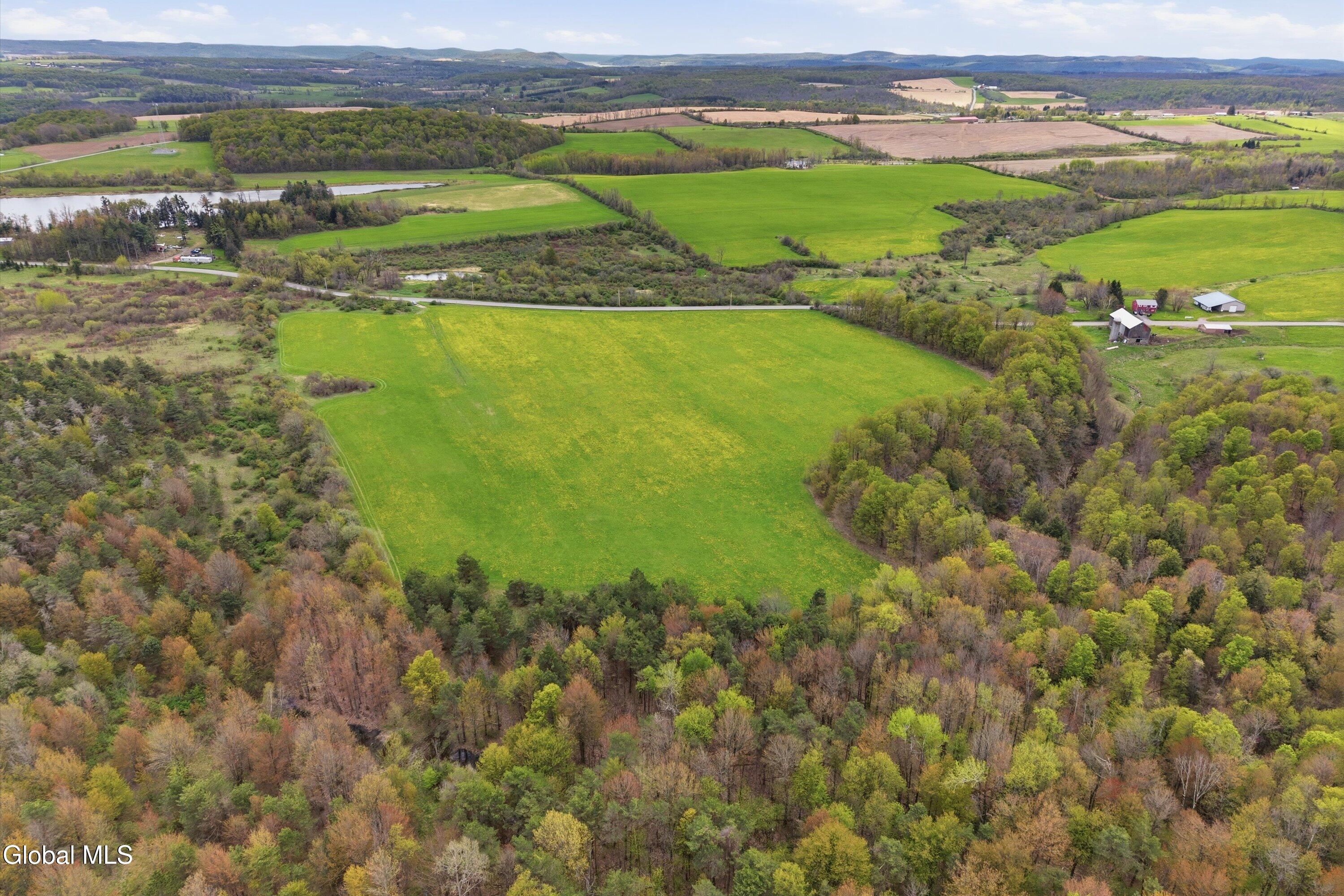 L27 Travis Road Fort Plain, NY 13339 - Photo 5 of 11 177.70 acre - Travis Rd lot