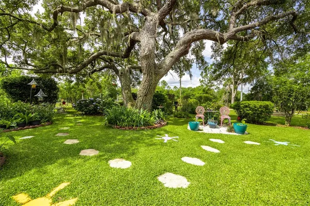 a view of a swimming pool with a yard