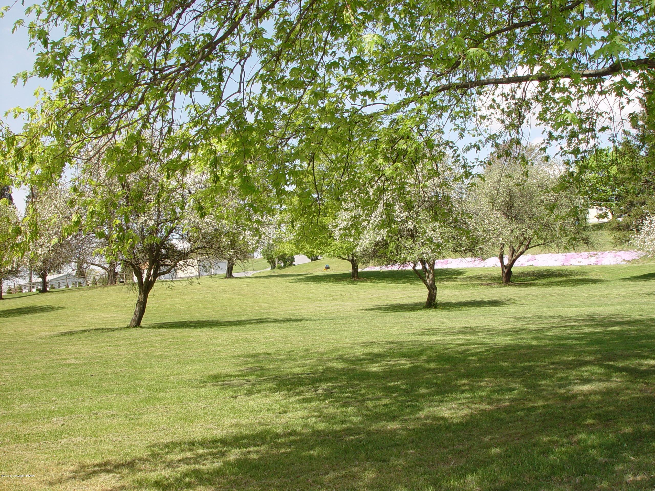 396 Good Times Road Kunkletown, PA 18058 - Photo 8 of 45 a view of yard with trees