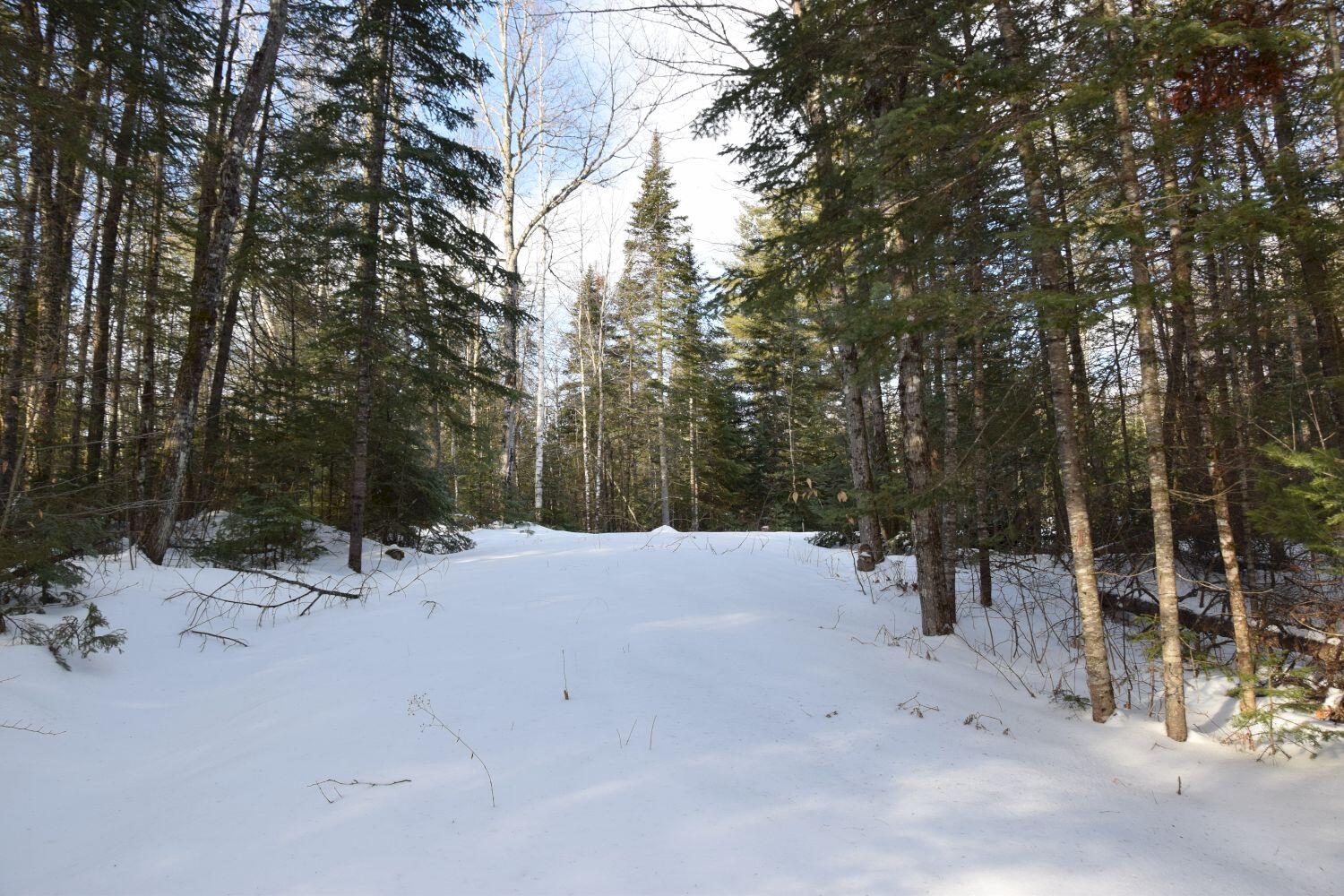 1754 Embden Pond Road Embden, ME 04958 - Photo 3 of 19 DSC_0004