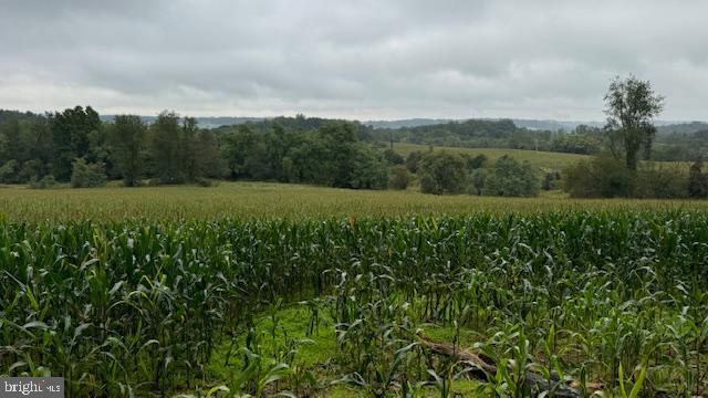 Halter Road Westminster, MD 21158 - Photo 15 of 16 Gallery Image 15