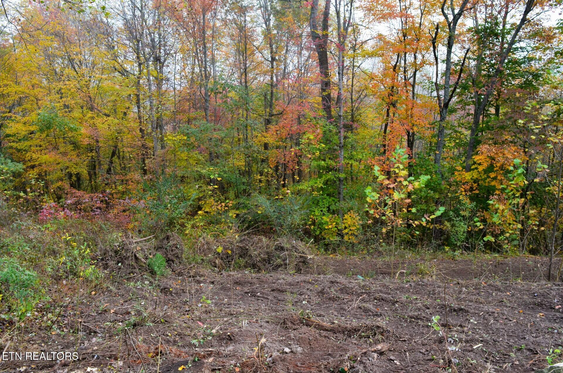 1e00ca51-d61f-4c63-9d74-9bccf21f1b17