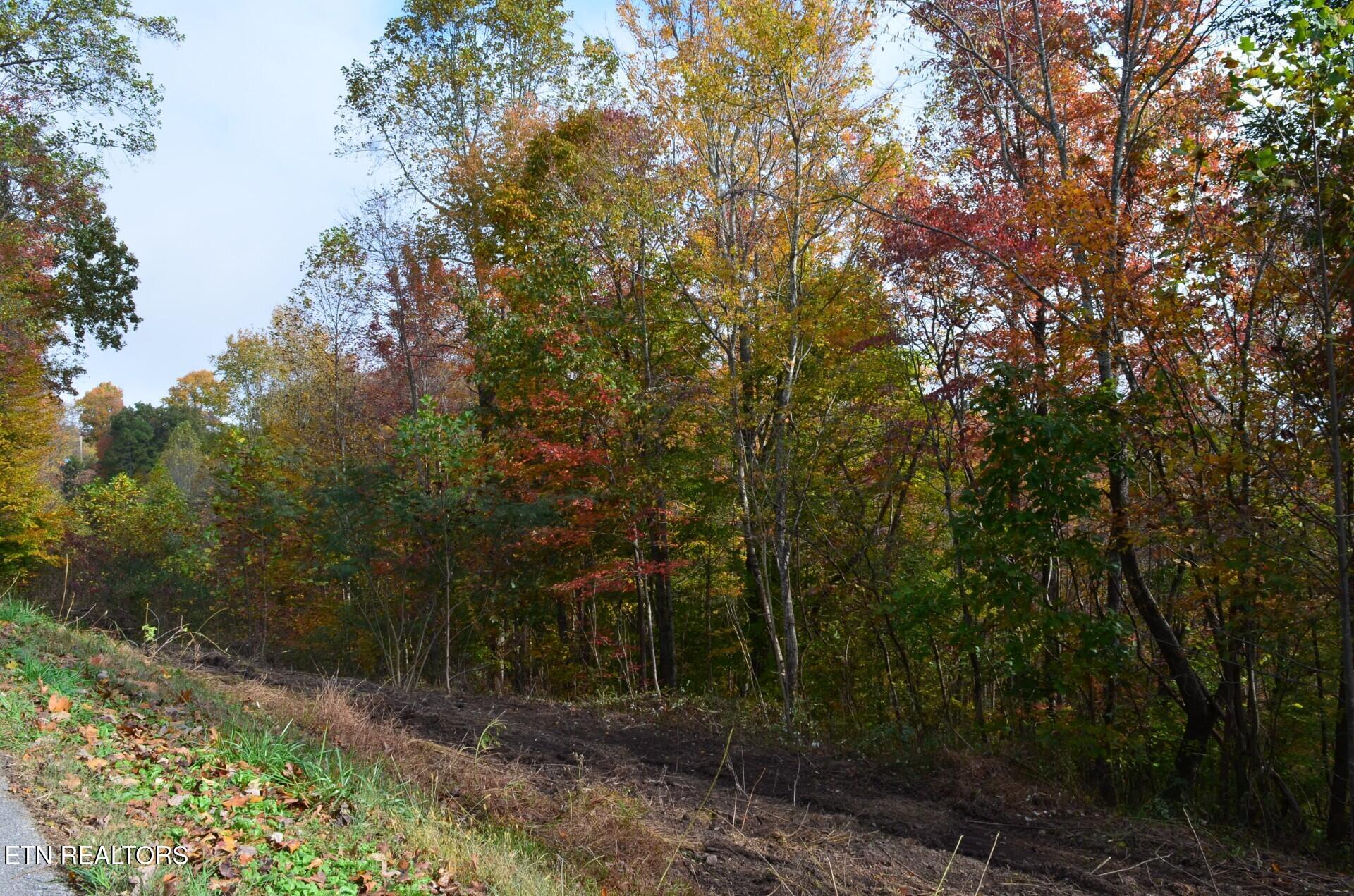 Whitman Hollow Road La Follette, TN 37766 - Photo 3 of 6 74df2148-45a9-4c6a-b869-338f40fd632c