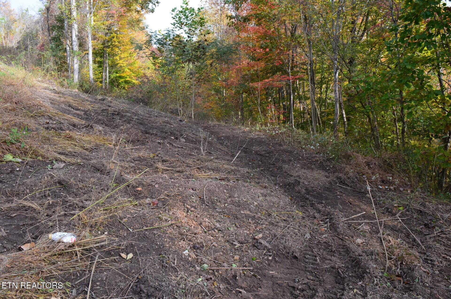 Whitman Hollow Road La Follette, TN 37766 - Photo 4 of 6 2447c8e7-81af-41b1-992a-9f71c26e2c32