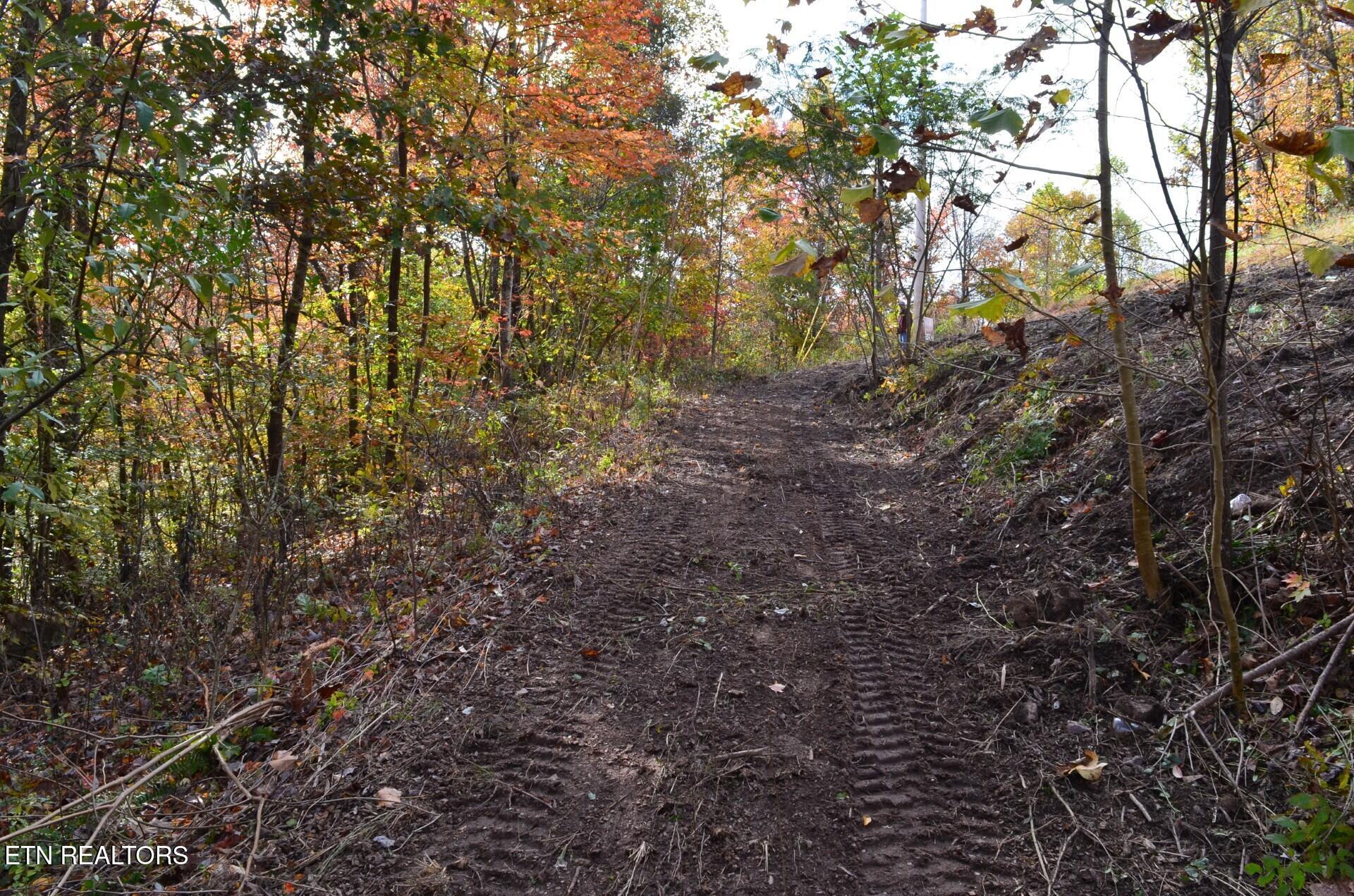 Whitman Hollow Road La Follette, TN 37766 - Photo 5 of 6 d60b01d3-b755-476e-9f96-7d36da7f05e6