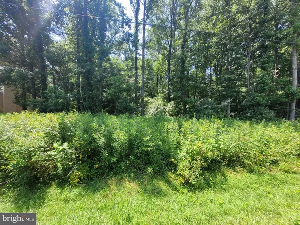 a view of a garden