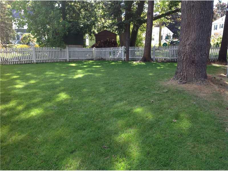 38 Longfellow Street Portland, ME 04103 - Photo 19 of 23 Yard/Garden.