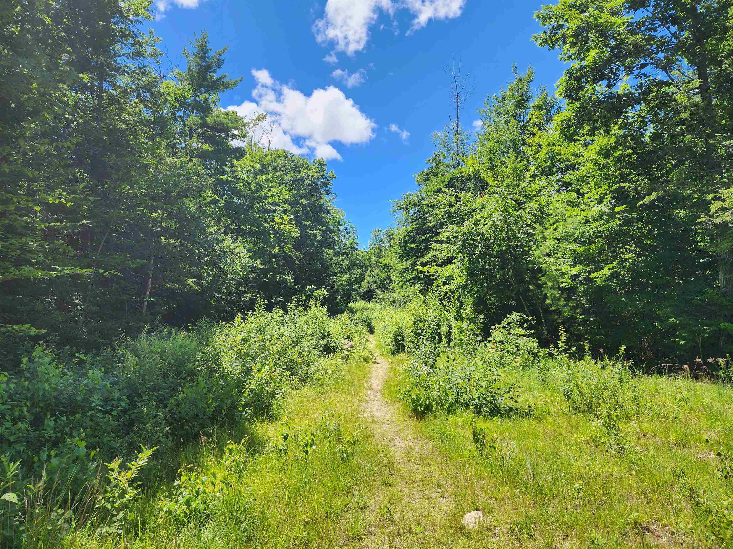 0 Ledgewood Road North Conway, NH 03860 - Photo 4 of 21