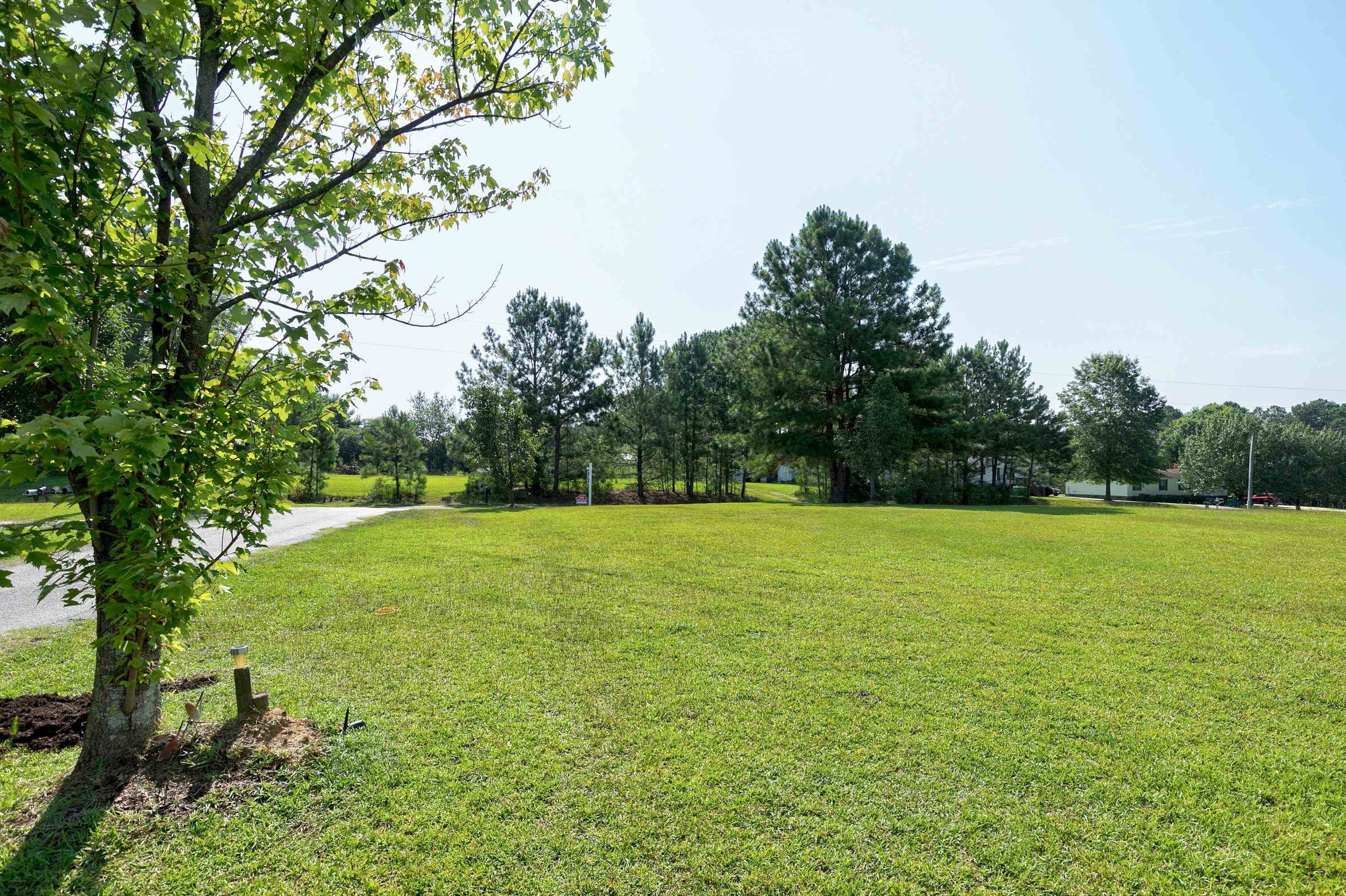 8308 Creek Road Willow Spring, NC 27592 - Photo 4 of 42 Photo 4