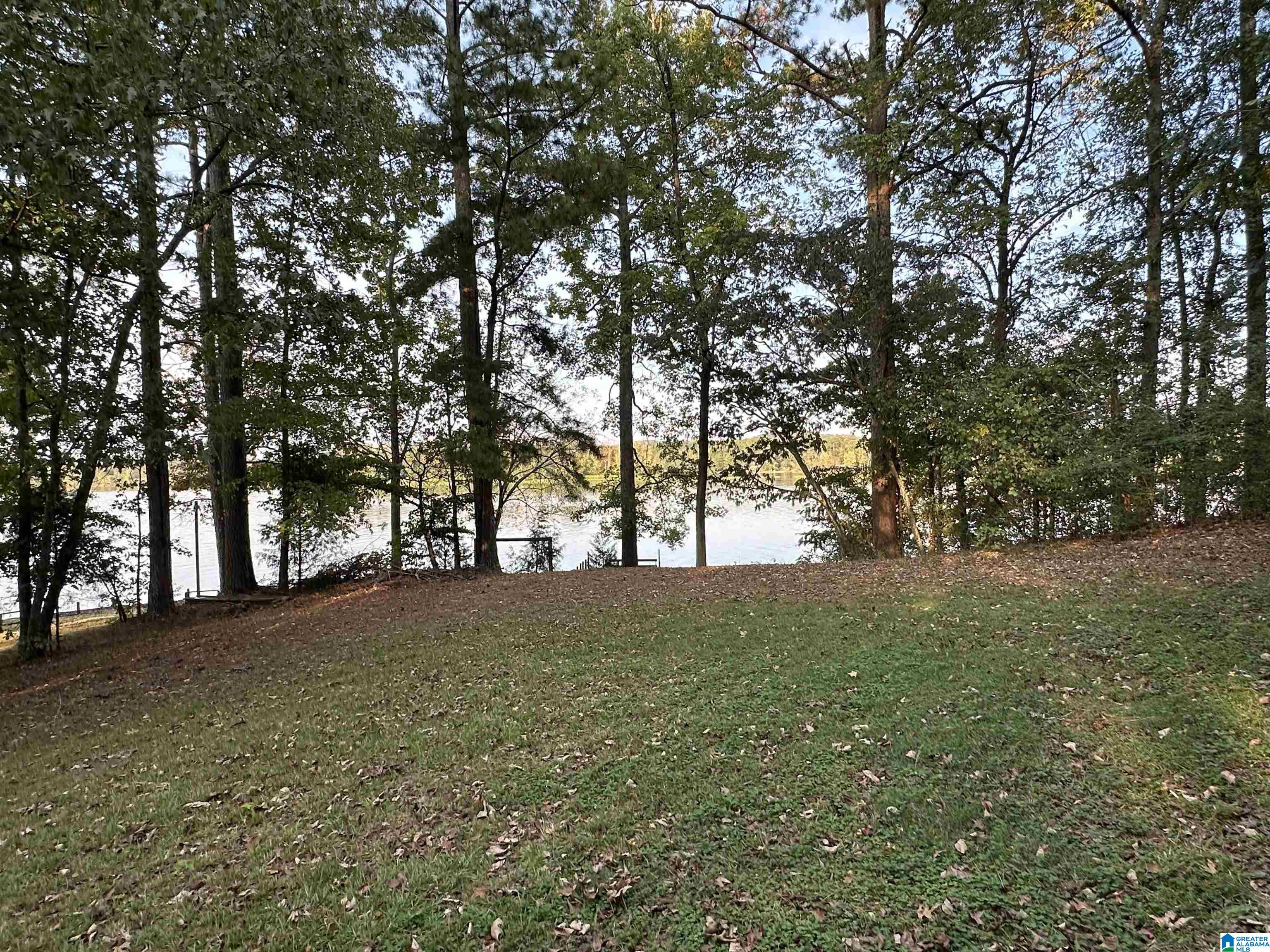 98 Lonesome Pne Road Riverside, AL 35135 - Photo 19 of 67