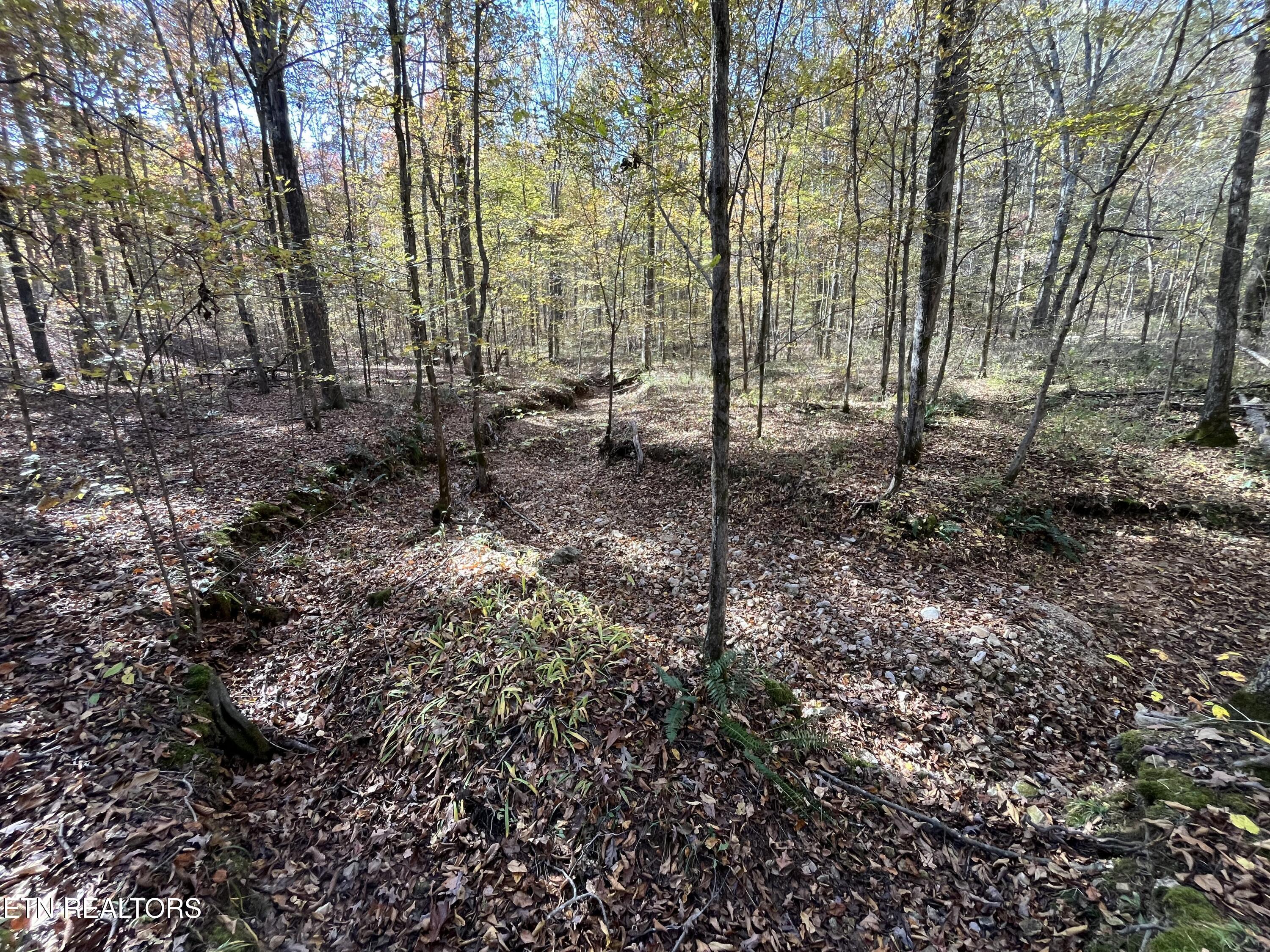 Simmons Branch Road Road Centerville, TN 37033 - Photo 11 of 14 IMG_7904