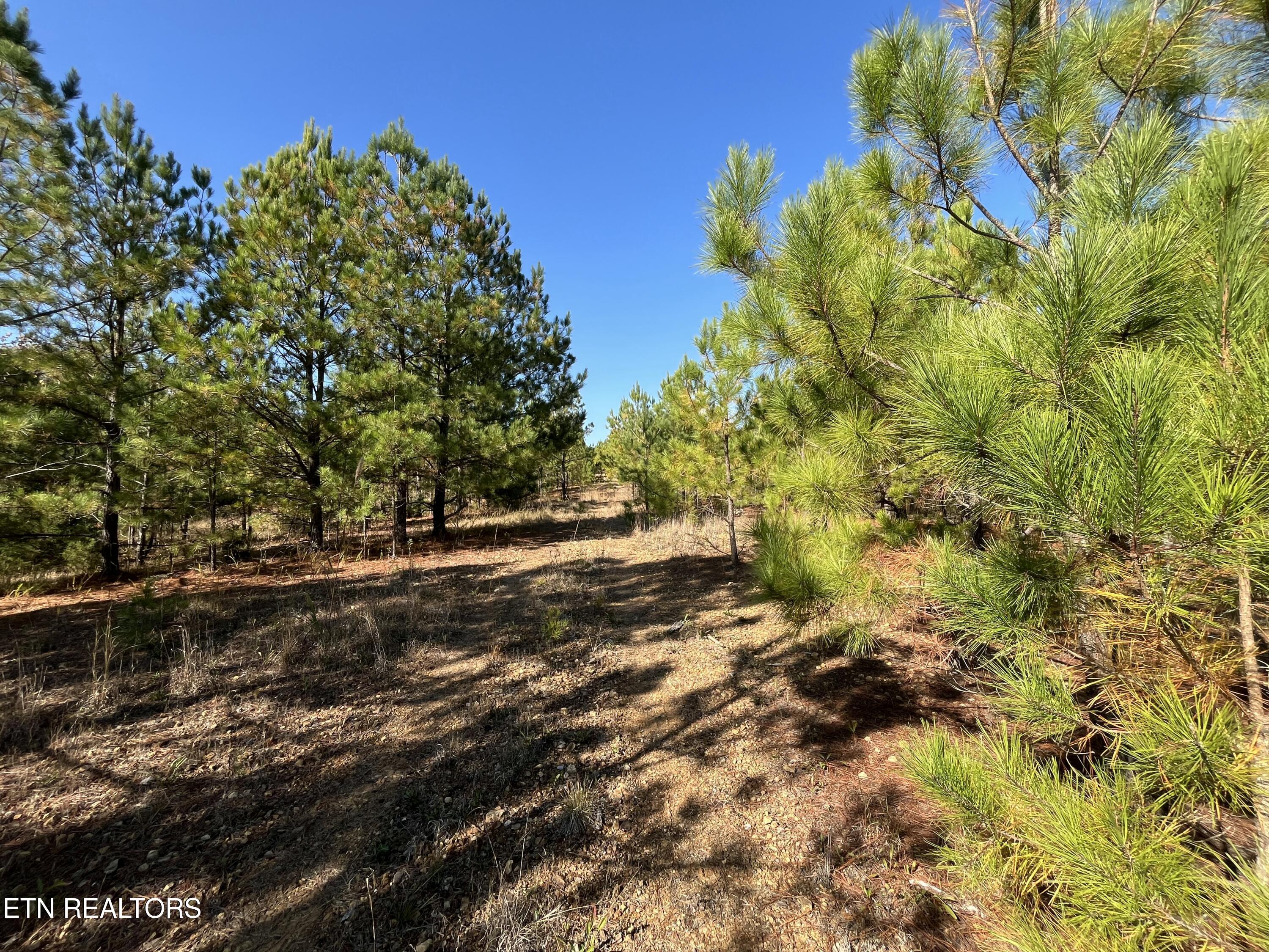 Simmons Branch Road Road Centerville, TN 37033 - Photo 3 of 14 IMG_7864