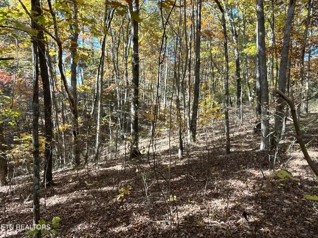 $947,600 | Simmons Branch Road Road, Centerville, TN 37033