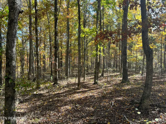 $947,600 | Simmons Branch Road Road, Centerville, TN 37033