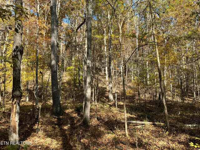 $947,600 | Simmons Branch Road Road, Centerville, TN 37033