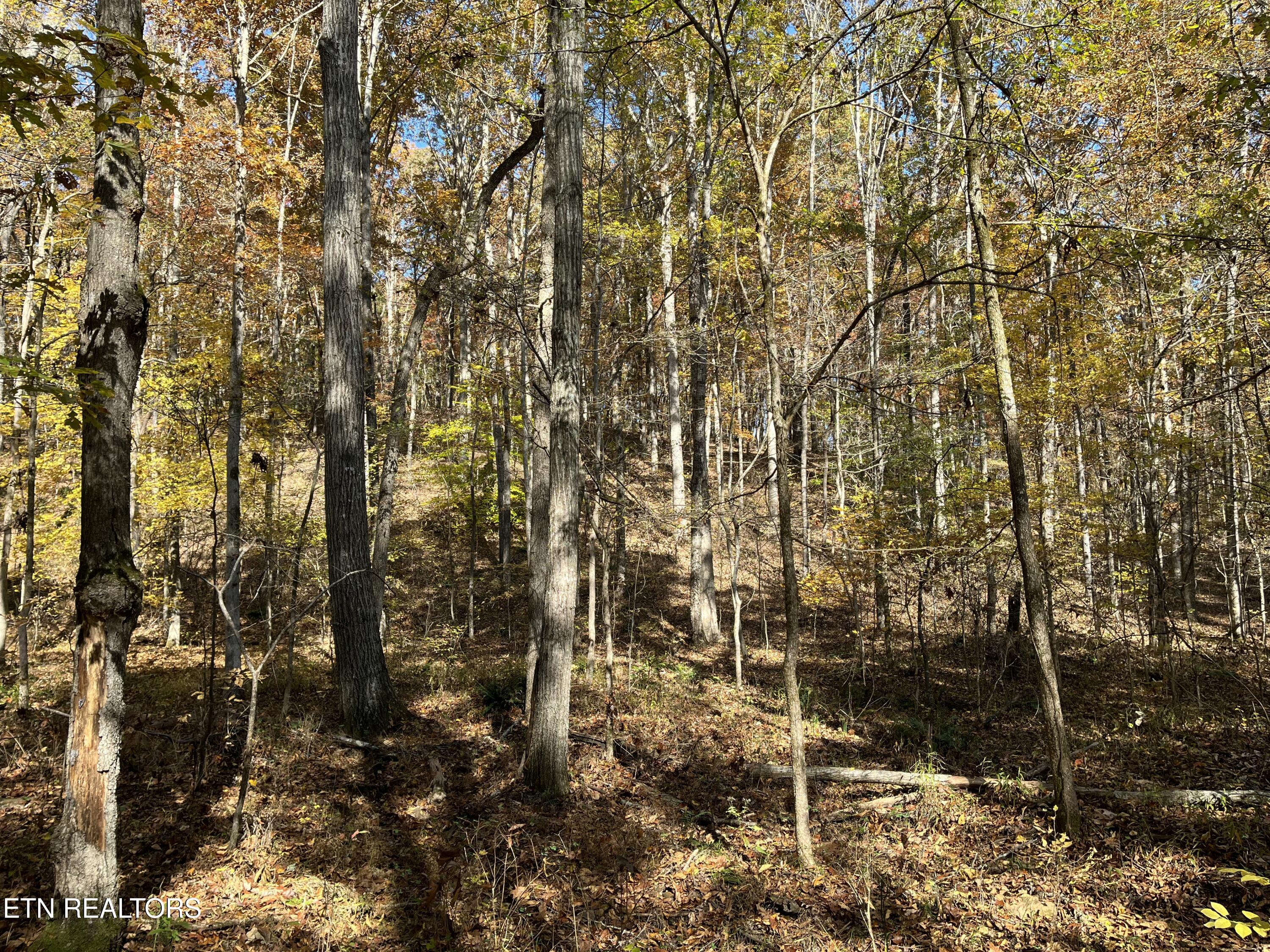 Simmons Branch Road Road Centerville, TN 37033 - Photo 10 of 14 IMG_7901