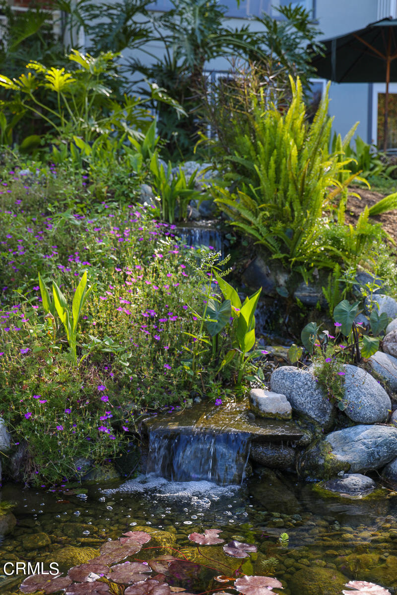 100 Sequoia Drive Pasadena, CA 91105 - Photo 44 of 51 a view of a garden with plants