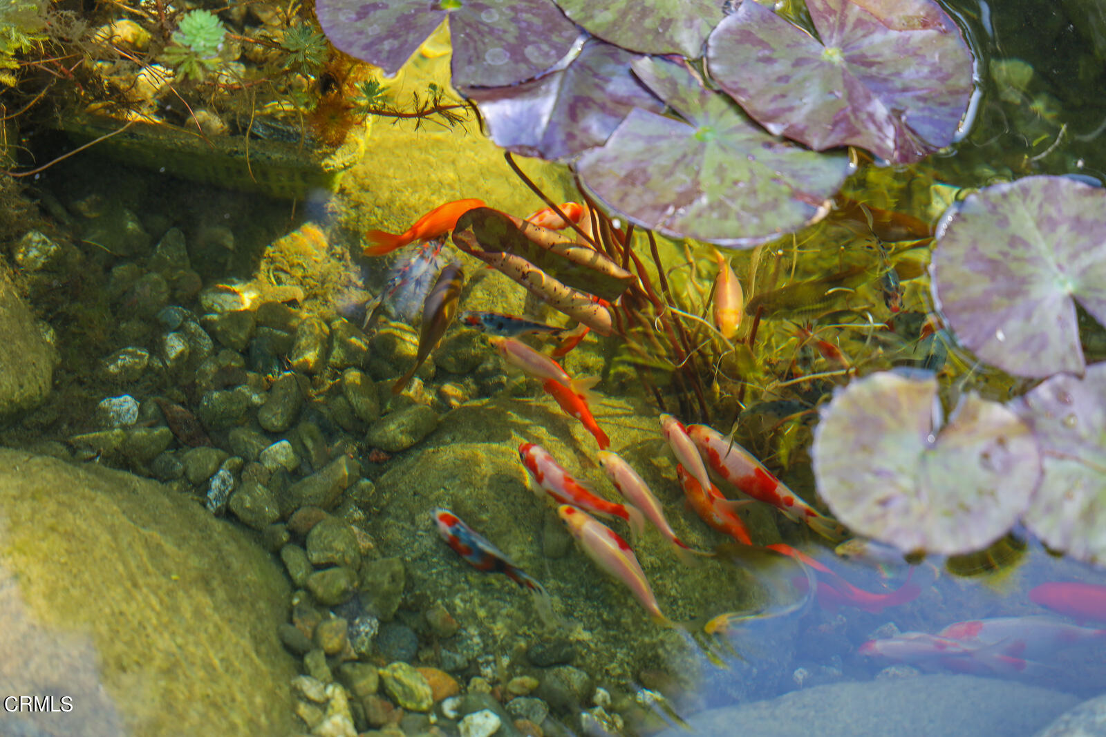 100 Sequoia Drive Pasadena, CA 91105 - Photo 46 of 51 MLS_63