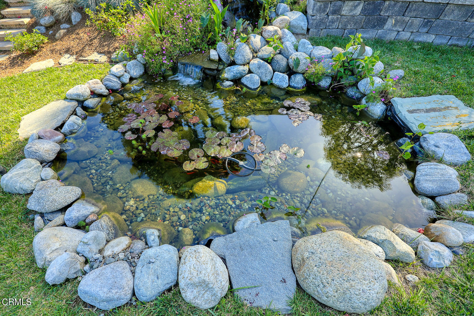 100 Sequoia Drive Pasadena, CA 91105 - Photo 47 of 51 a bunch of flowers are sitting in a garden