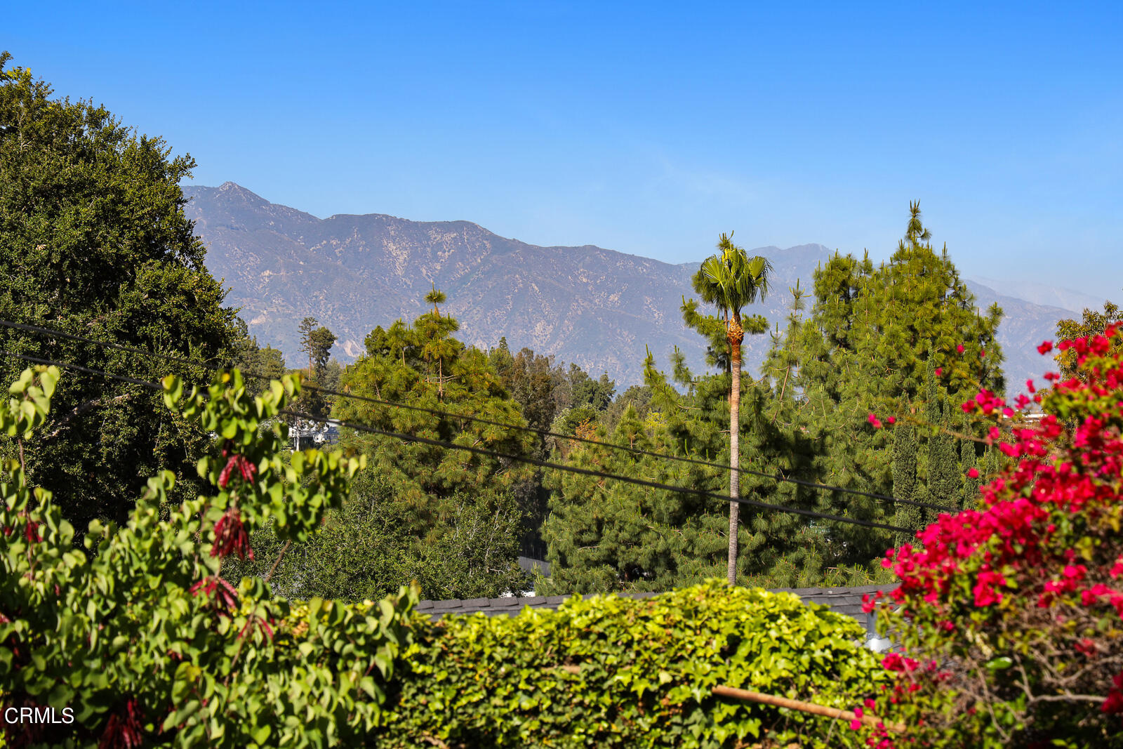100 Sequoia Drive Pasadena, CA 91105 - Photo 50 of 51 a view of a bunch of flowers
